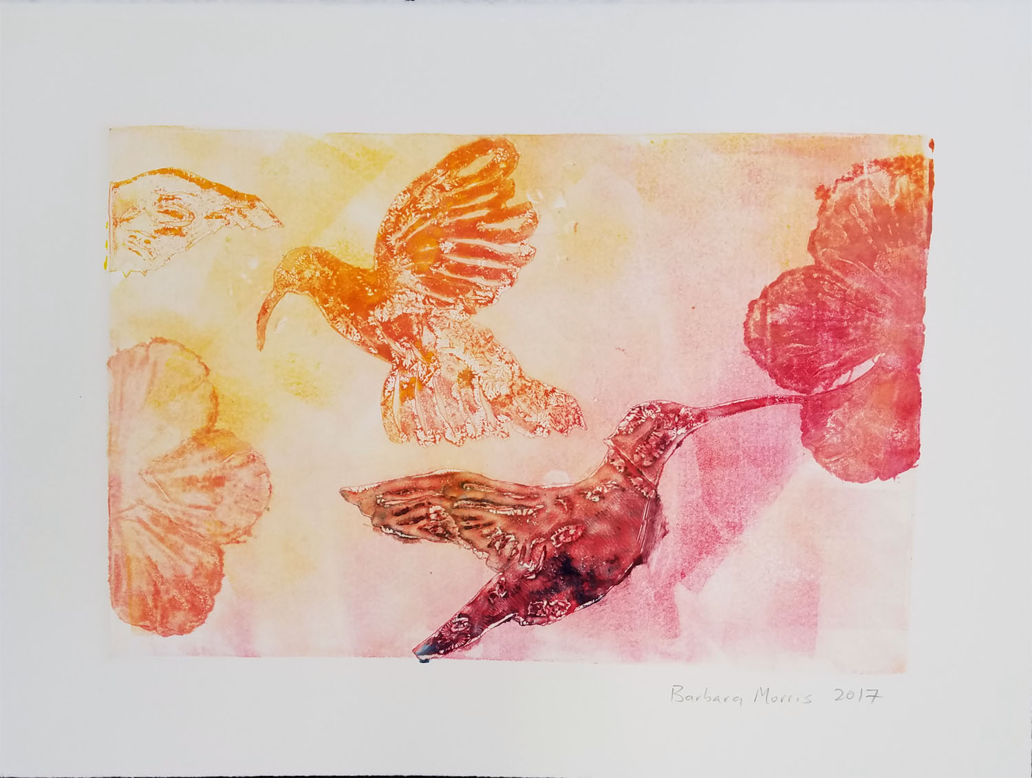 Hummingbird Series XVIII, monotype, 11" x 15" 2017