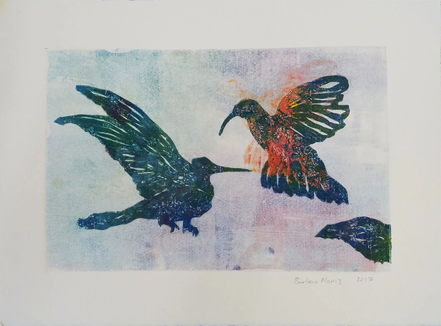 Hummingbird Series XIII, monotype, 11" x 15" 2017