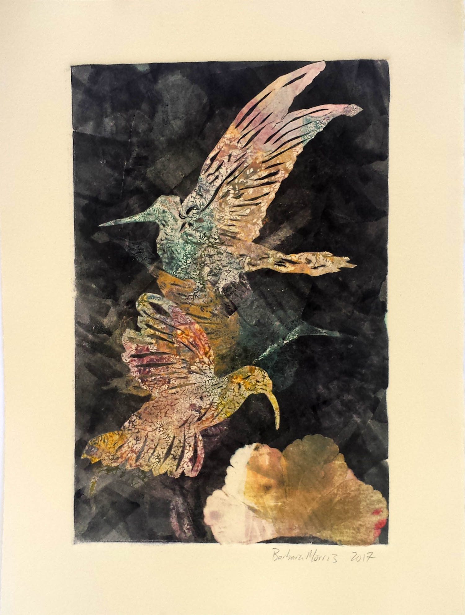 Hummingbird Series X, monotype, 11" x 15" 2017