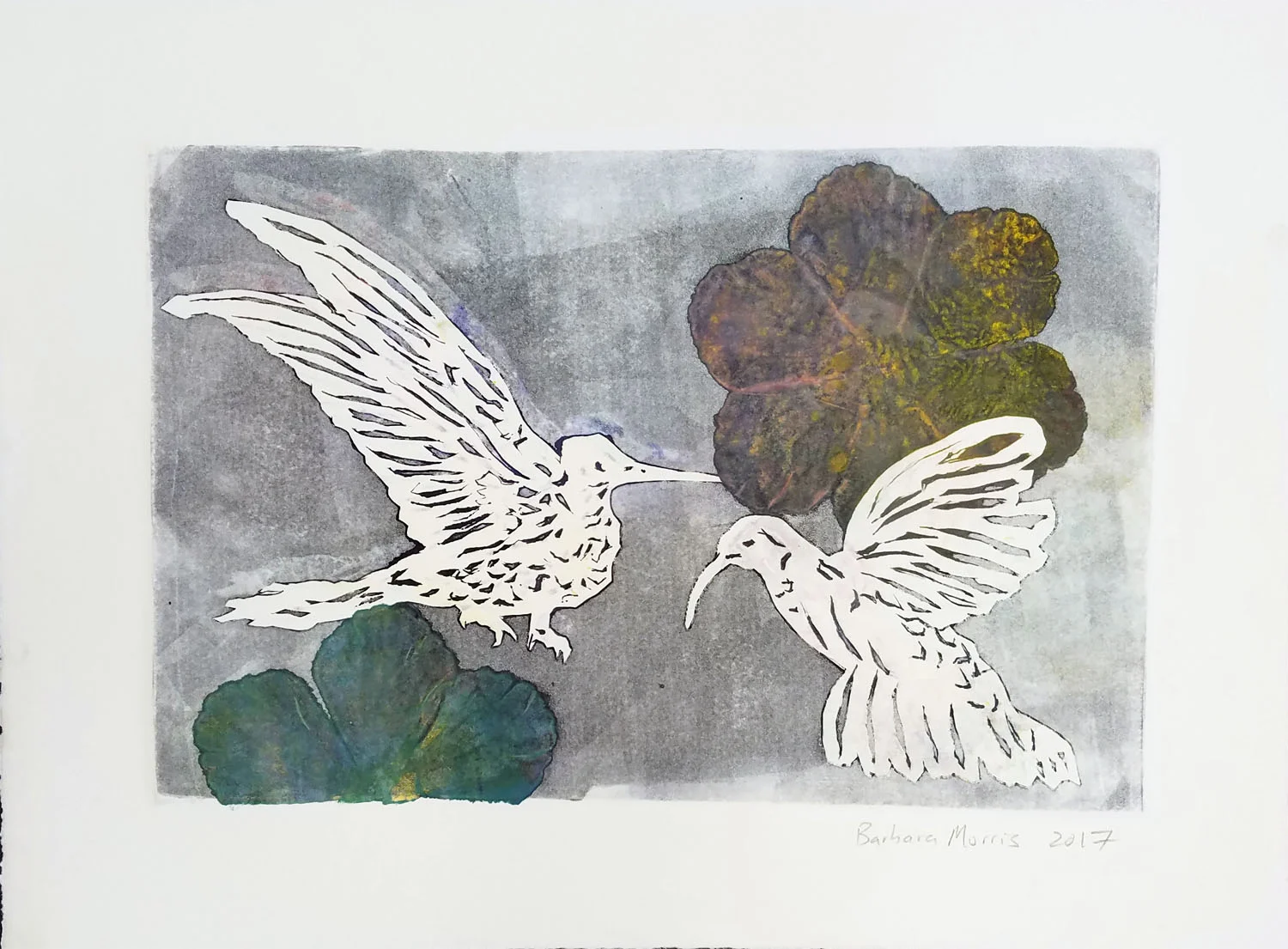 Hummingbird Series IX, monotype, 11" x 15" 2017