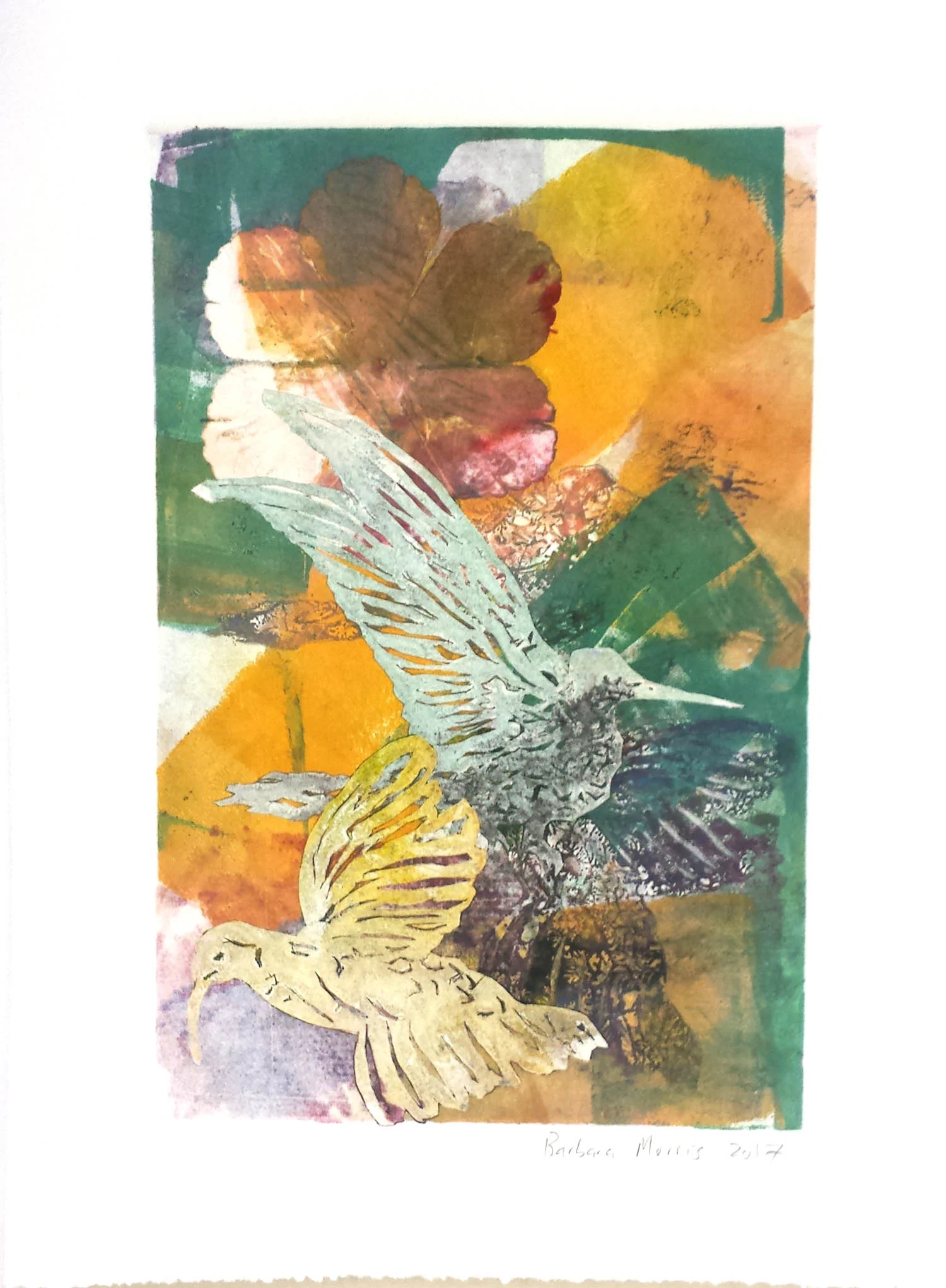 Hummingbird Series XIII, monotype, 11" x 15" 2017