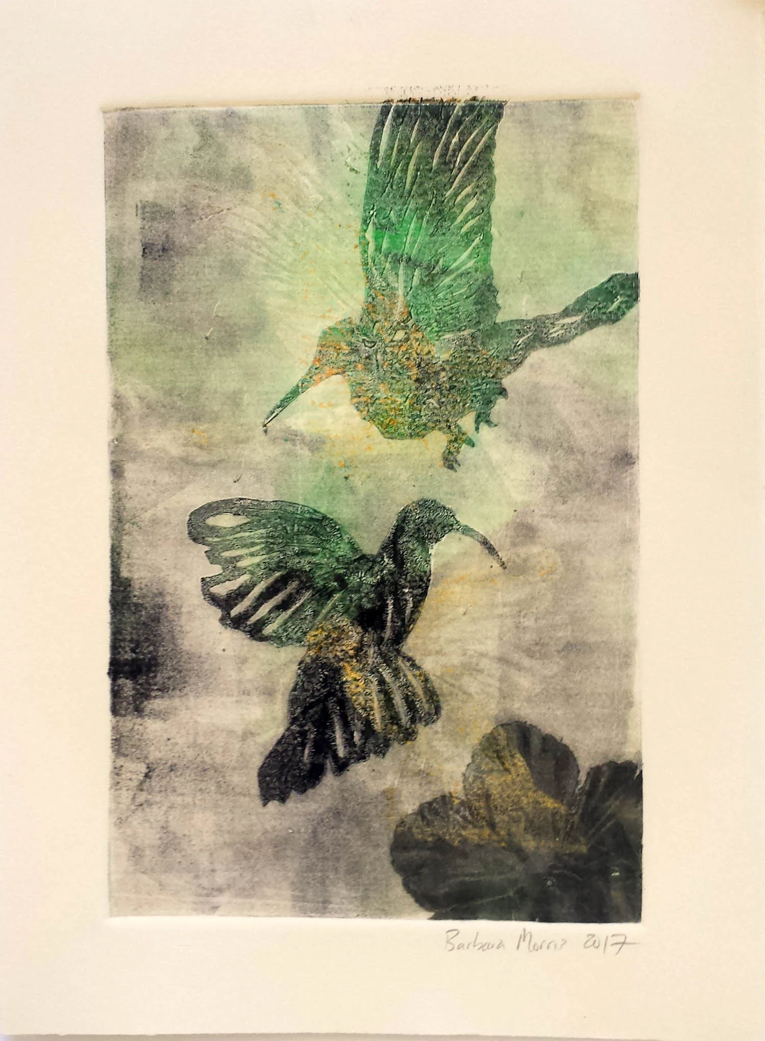 Hummingbird Series VII, monotype, 11" x 15" 2017