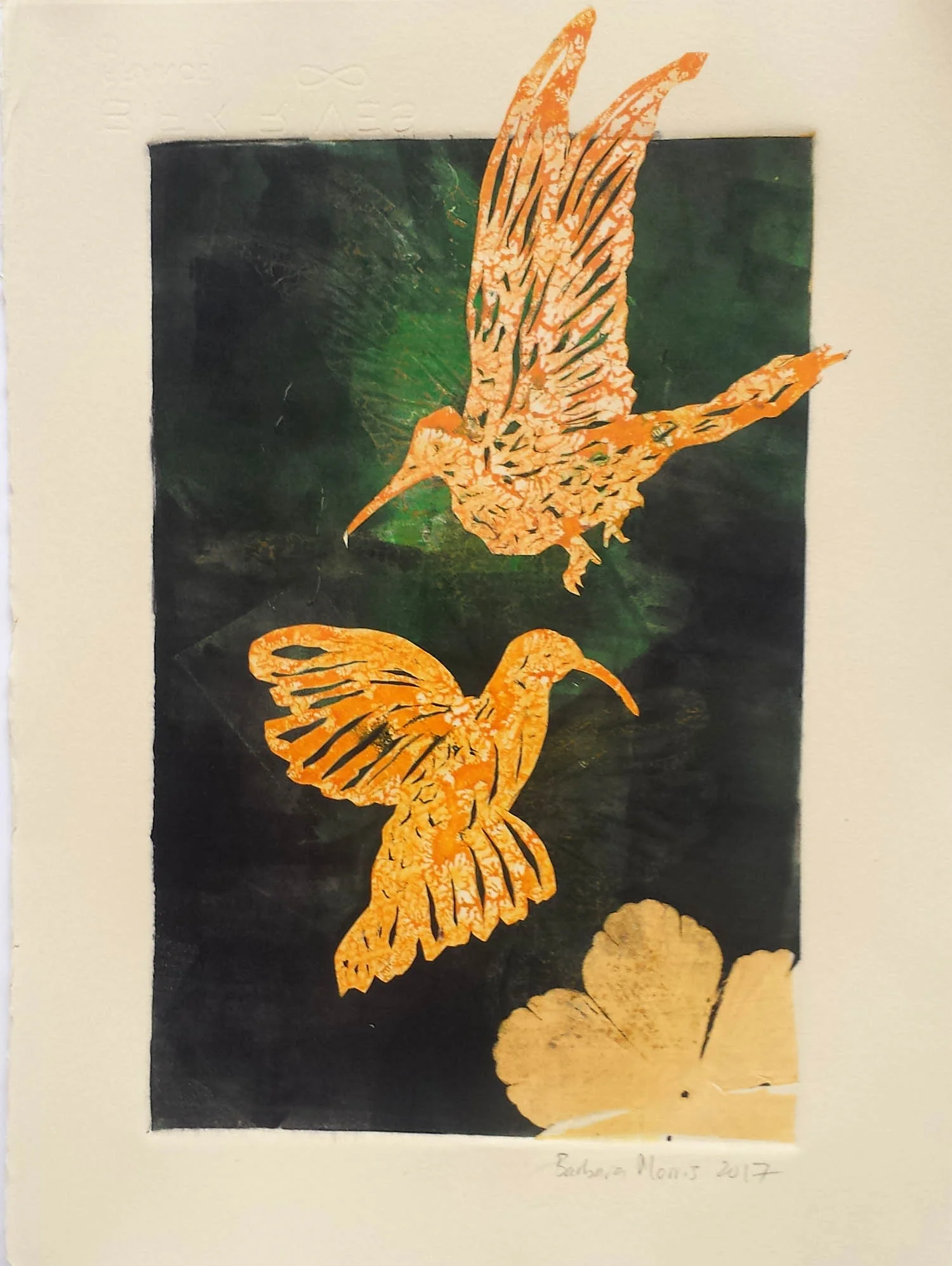 Hummingbird Series VI, monotype, 11" x 15" 2017