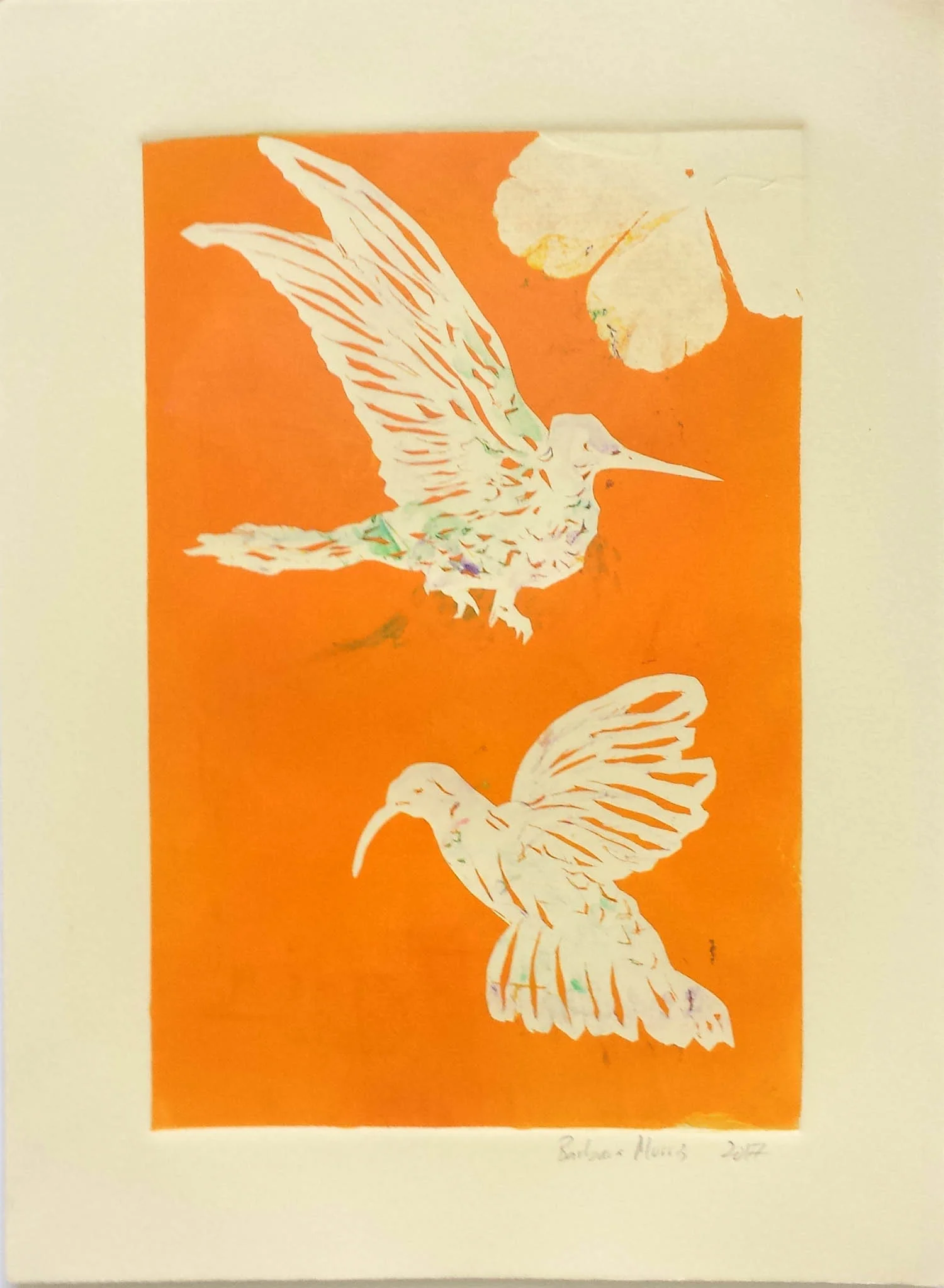 Hummingbird Series III, monotype, 11" x 15" 2017