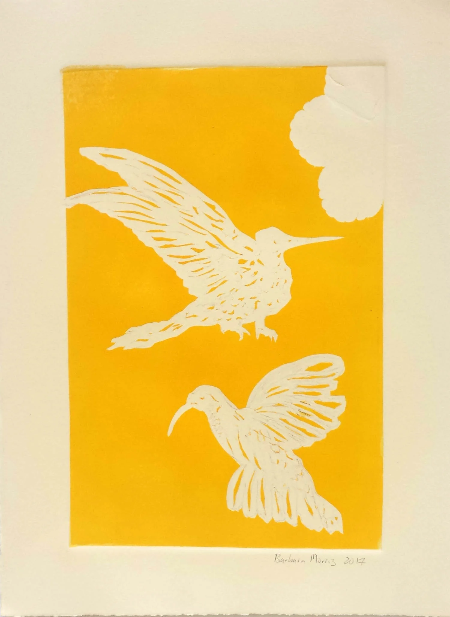 Hummingbird Series I, monotype, 11" x 15" 2017