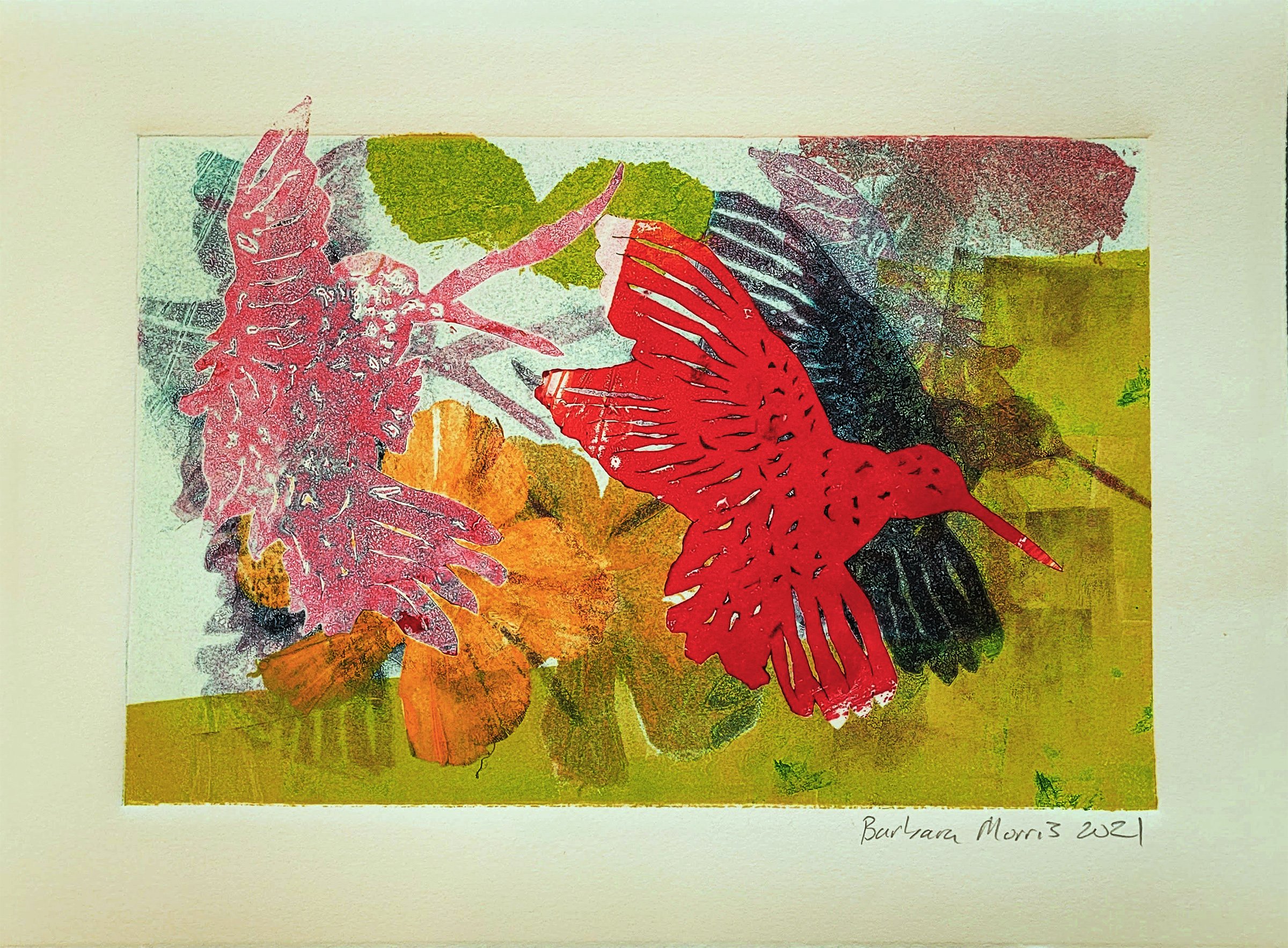 Hummingbird Series 2021 X.jpg