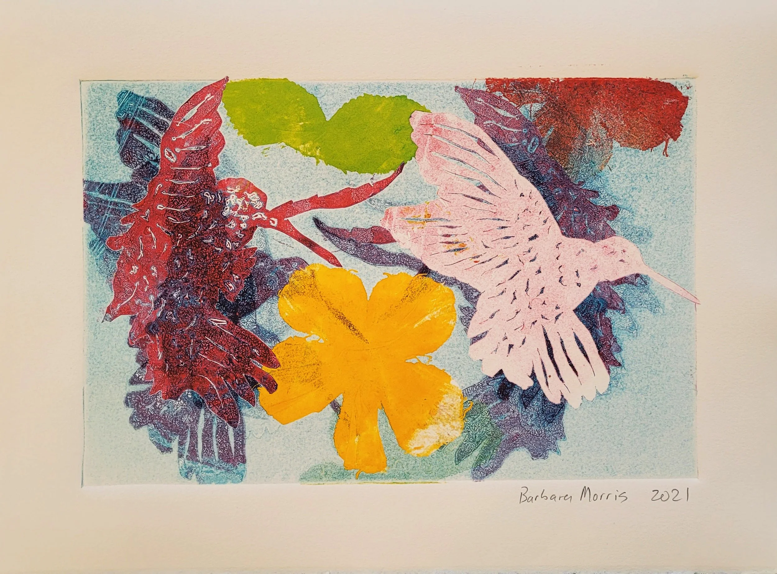 Hummingbird Series 2021 XI.jpg