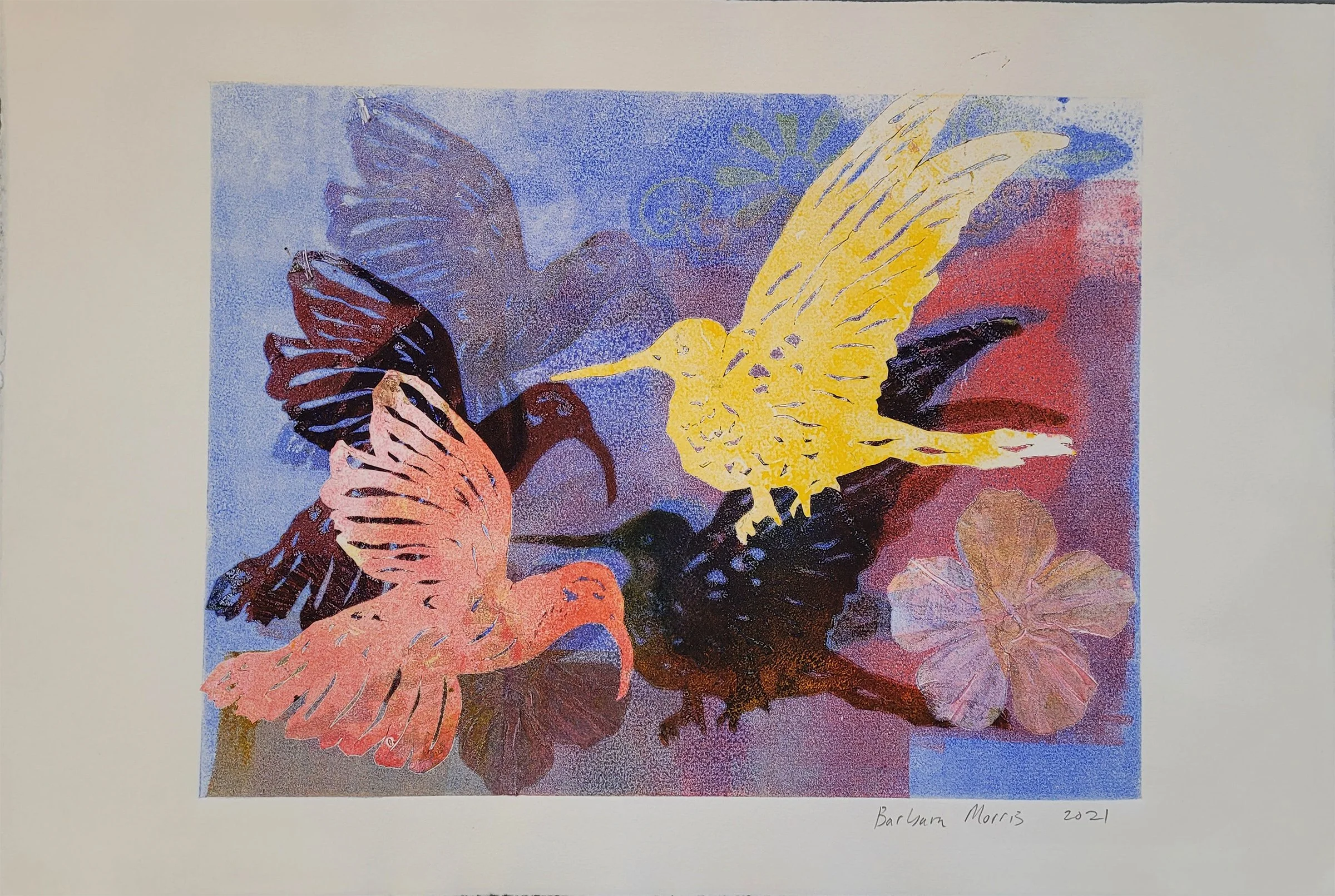 Hummingbird Series 2021 XIV.jpg