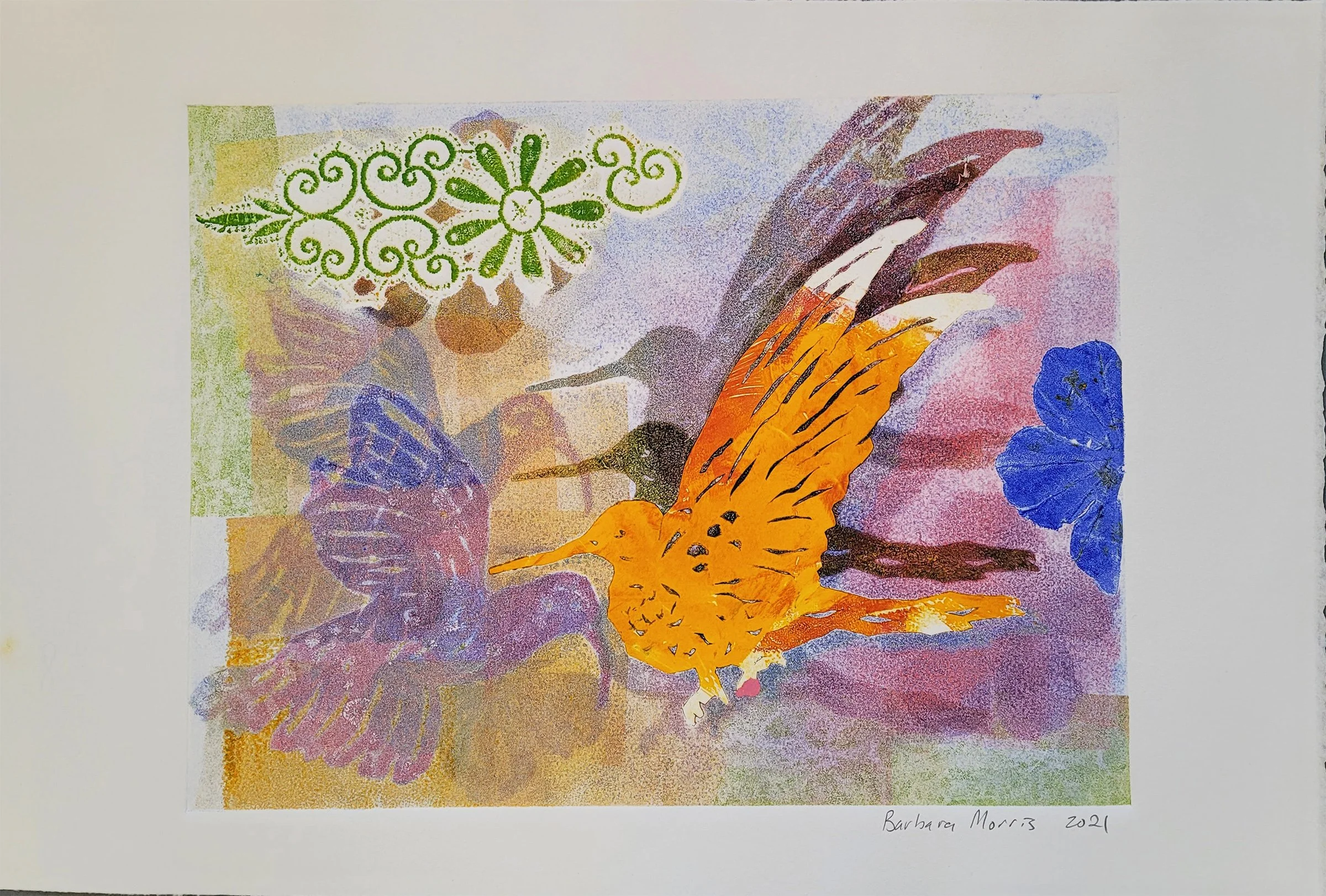 Hummingbird Series 2021 XVI.jpg