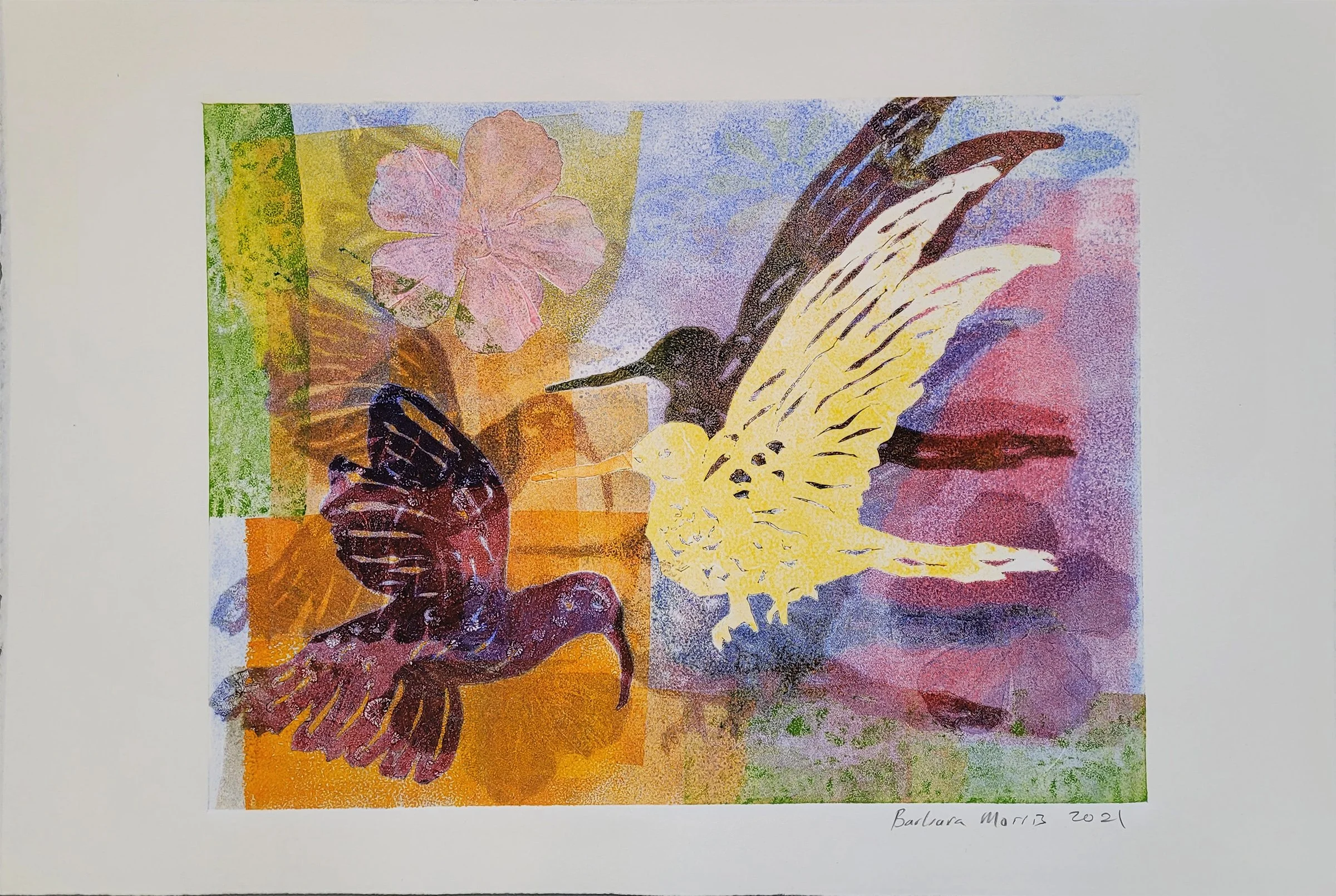 Hummingbird Series 2021 XVII.jpg