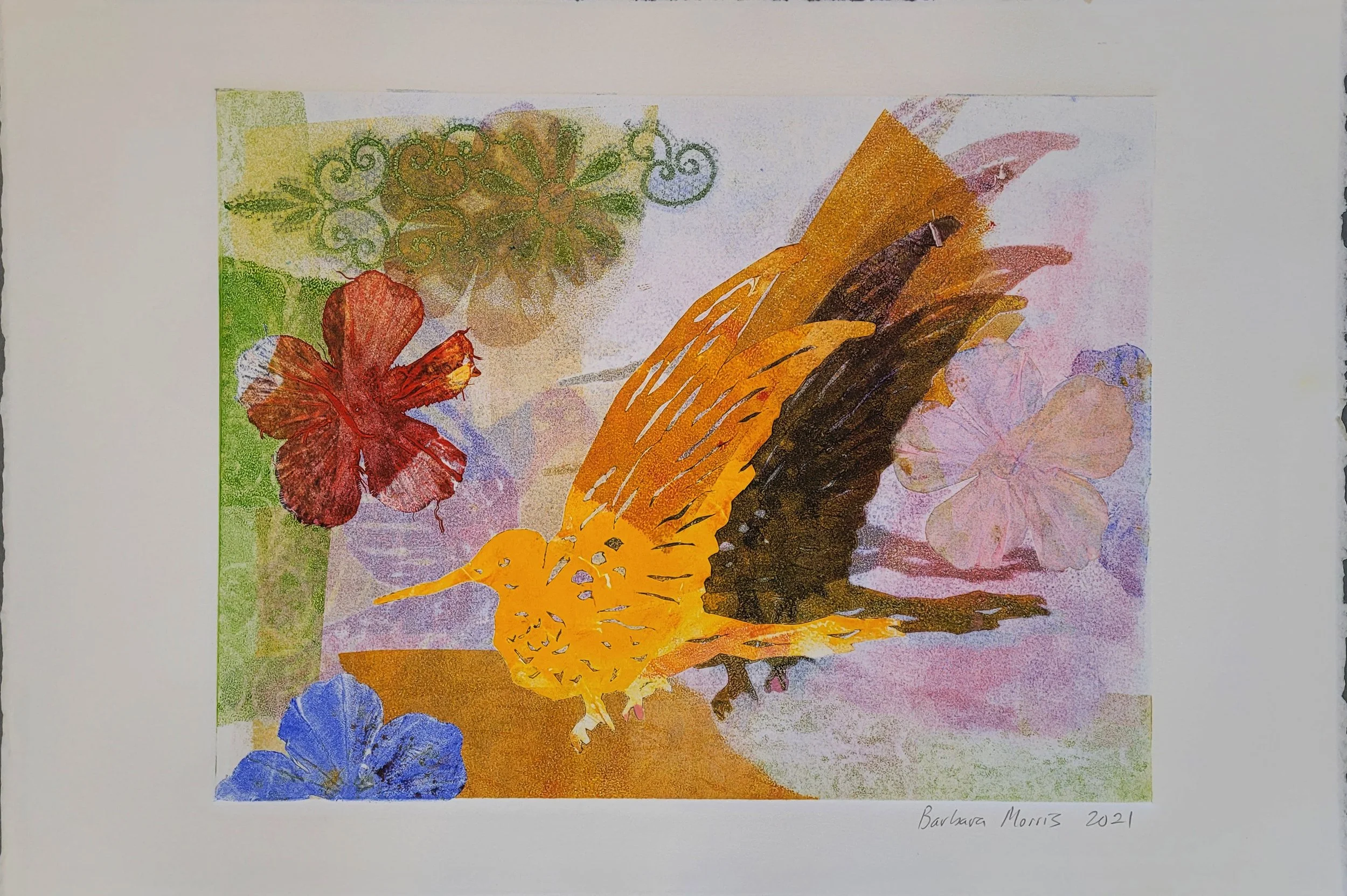 Hummingbird Series 2021 XVIII.jpg