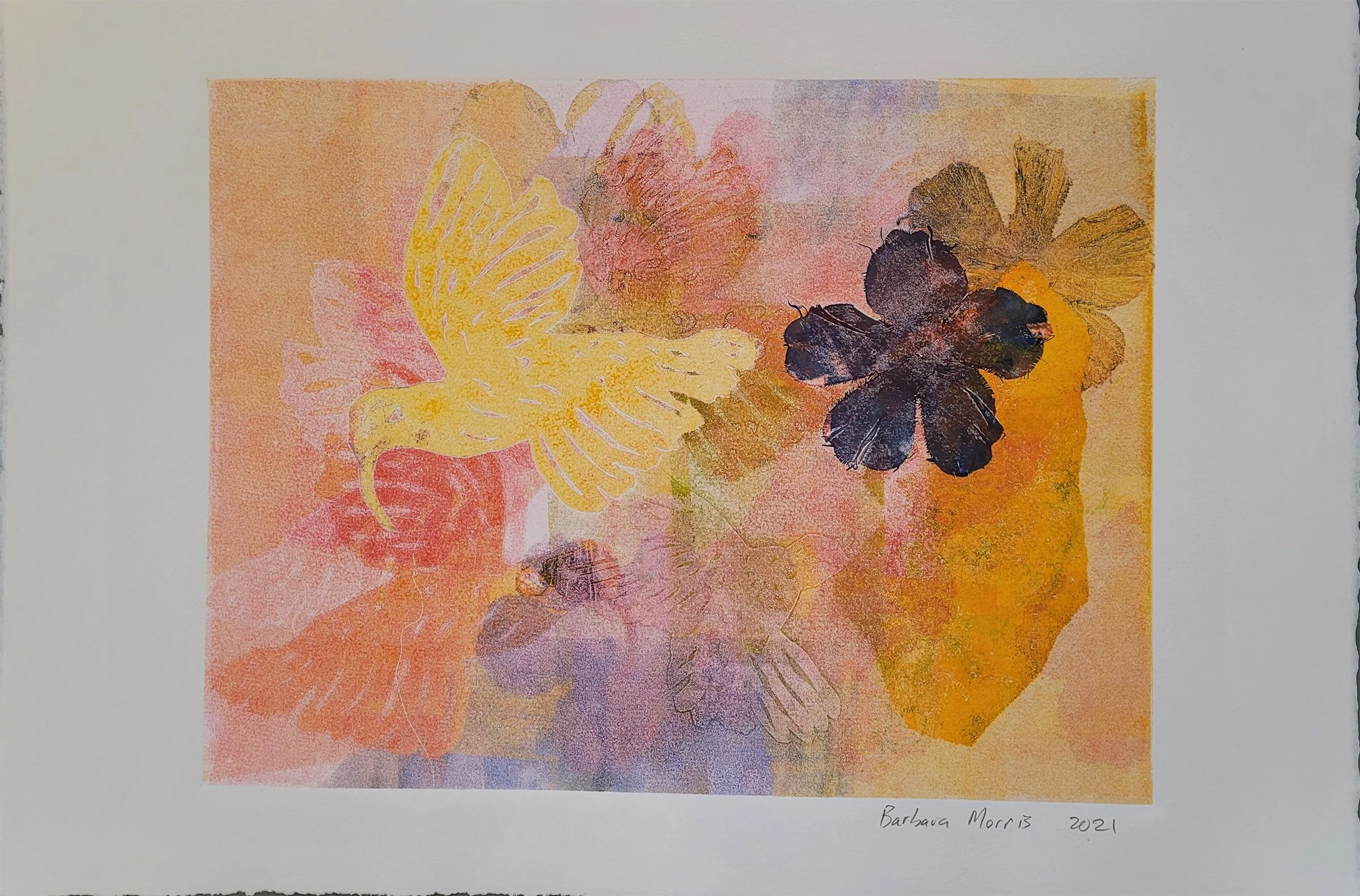 Hummingbird Series 2021 XXI.jpg