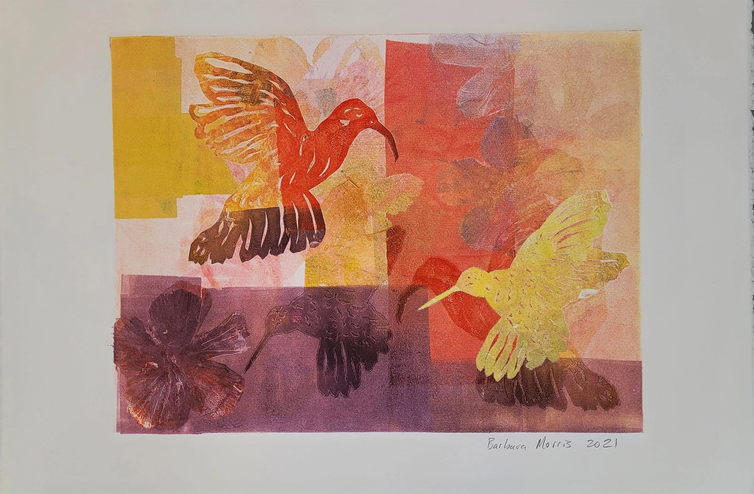 Hummingbird Series 2021 XXIII.jpg