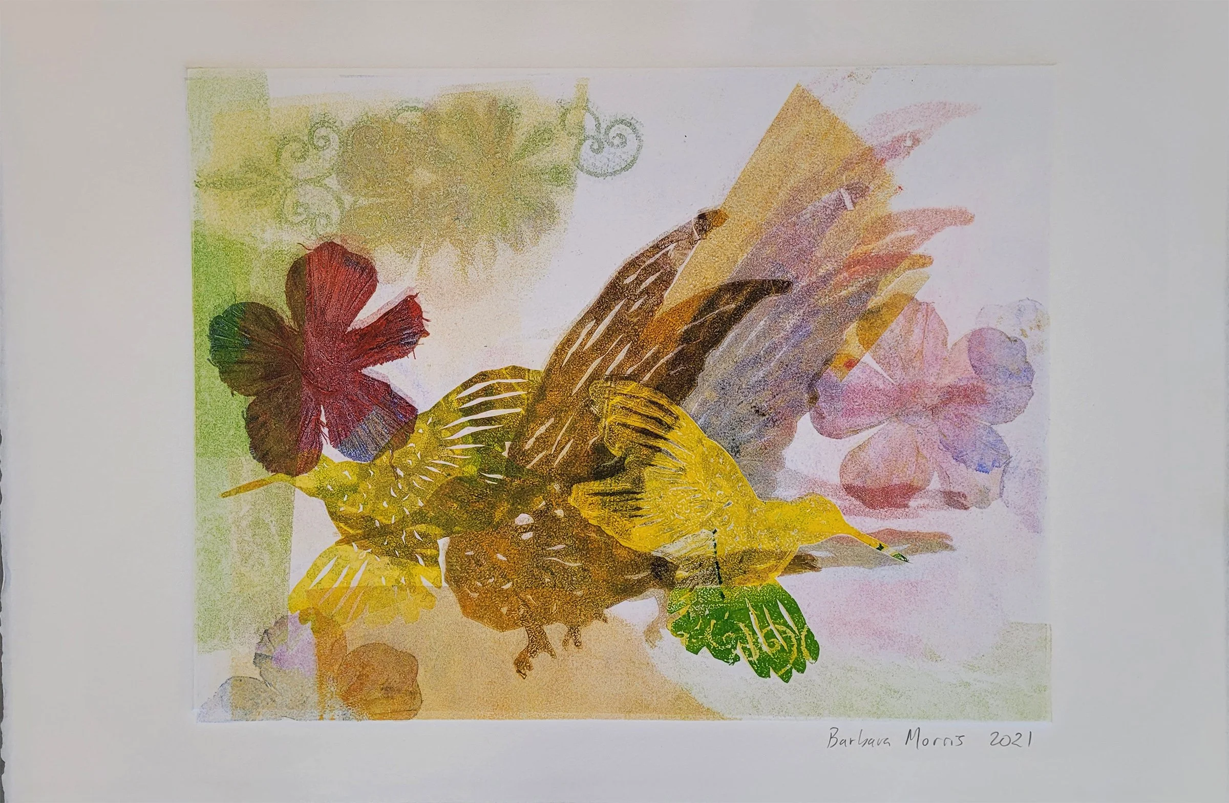 Hummingbird Series 2021 XXX.jpg