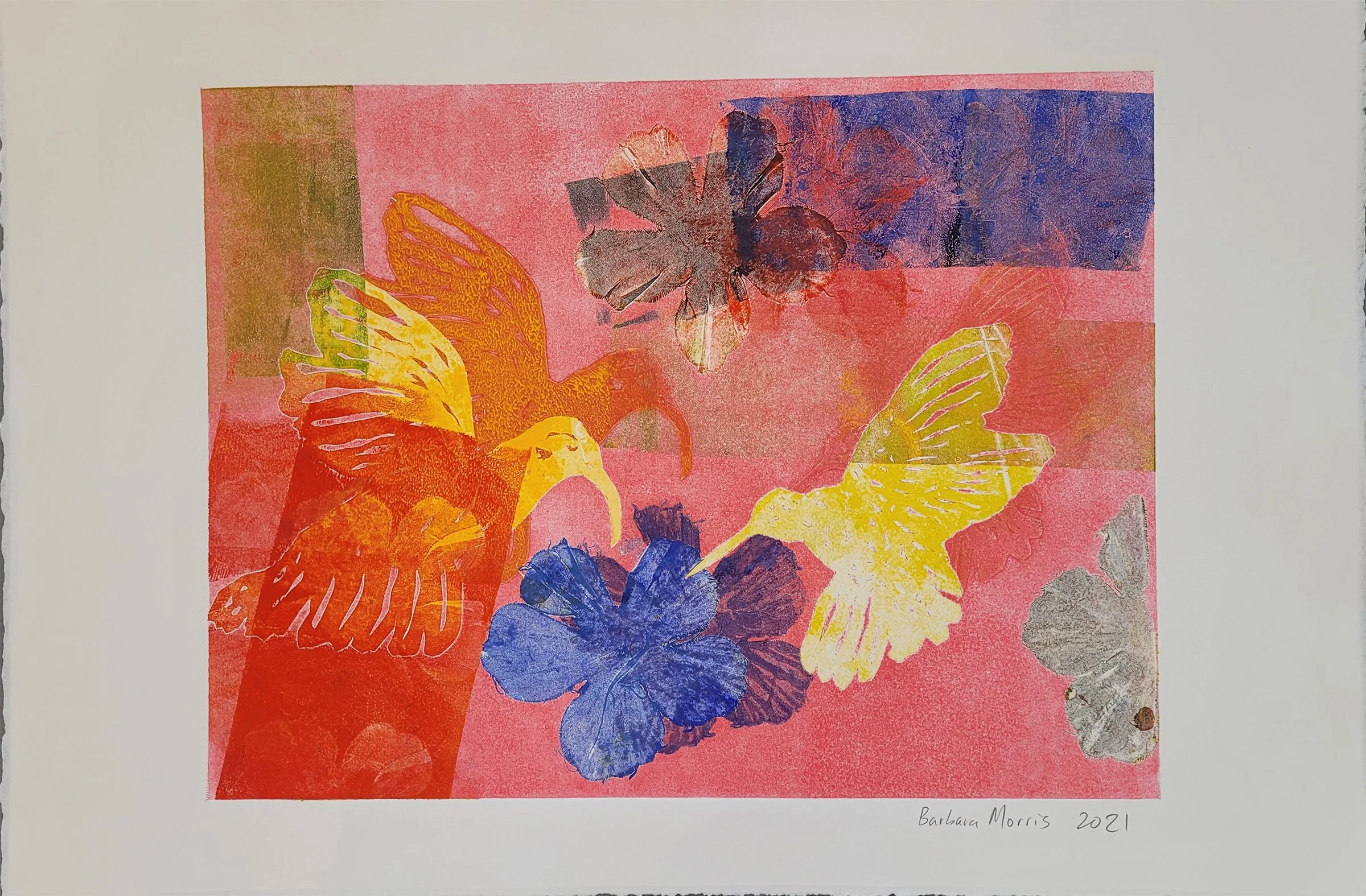 Hummingbird Series 2021 XXXI.jpg