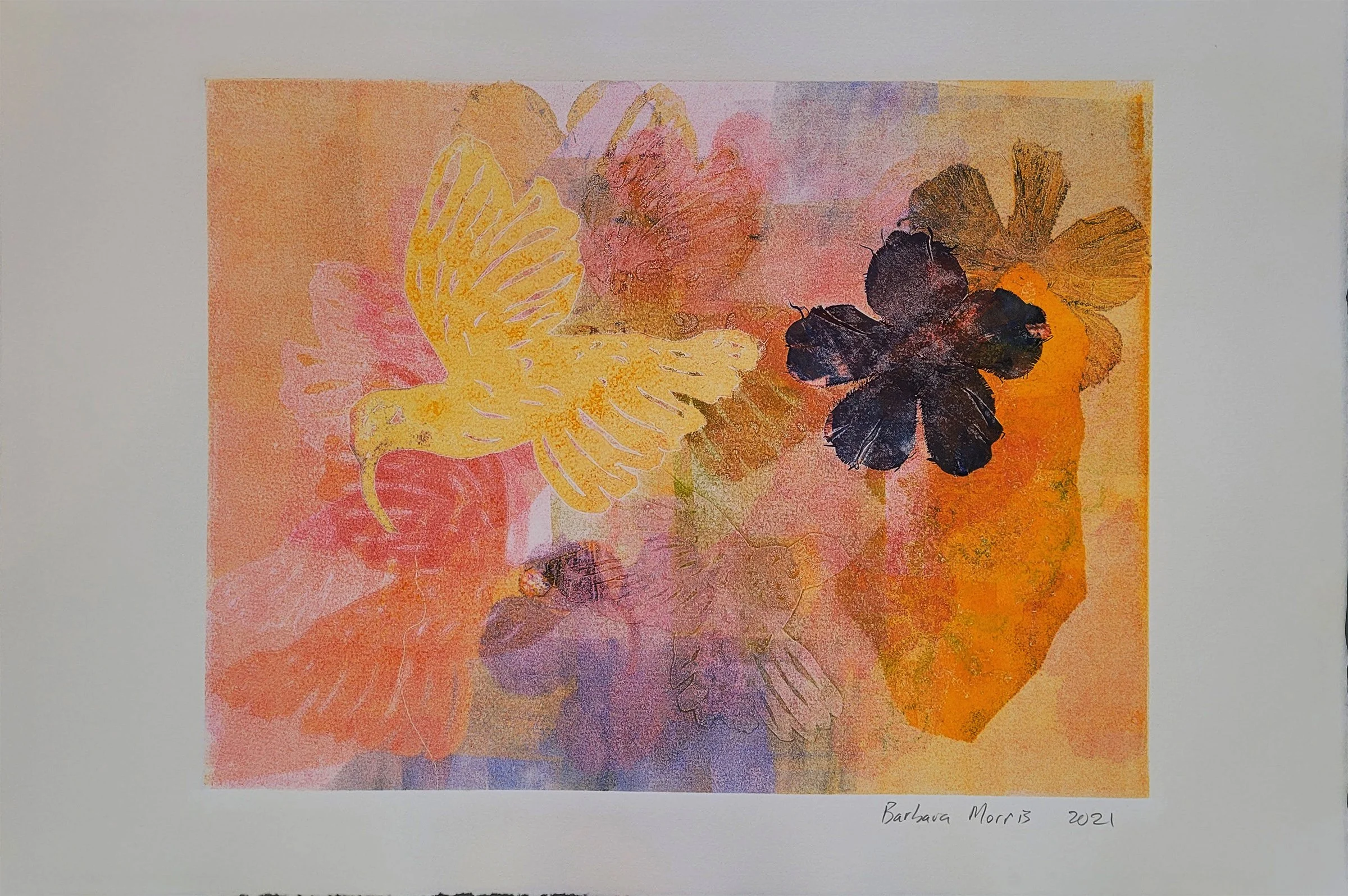Hummingbird Series 2021 21.jpg