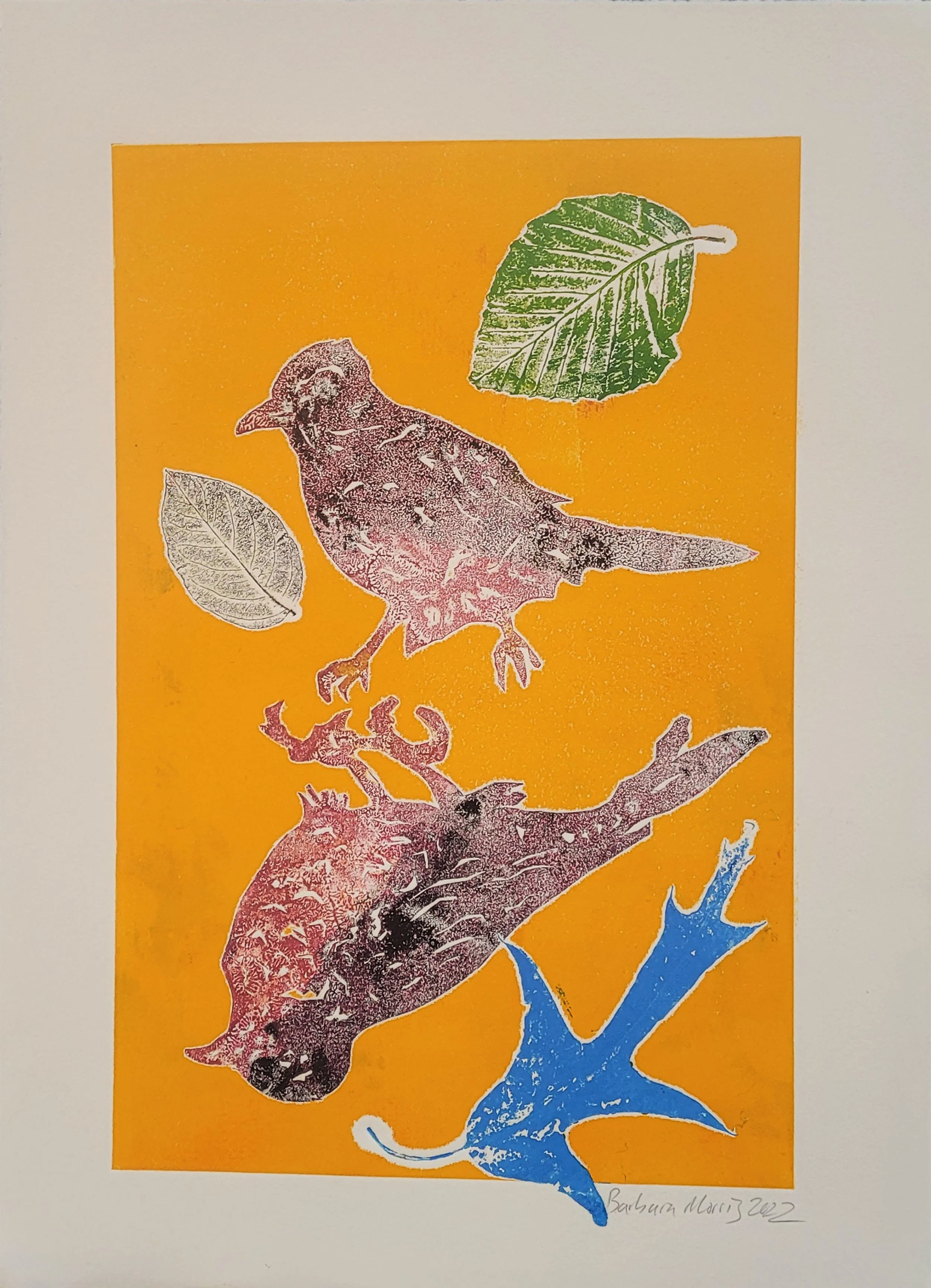 Spring Robins 18.jpg