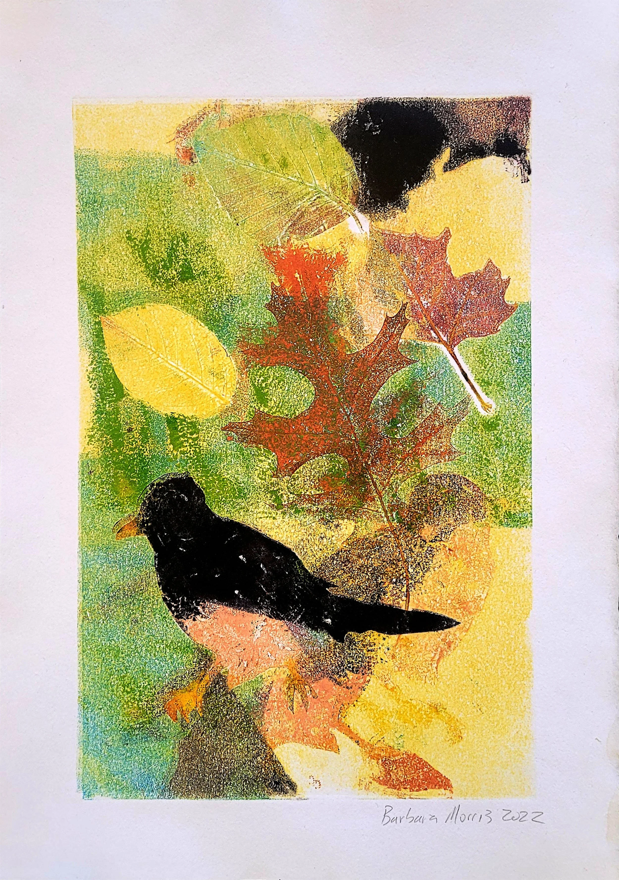 Spring Robins 13.jpg