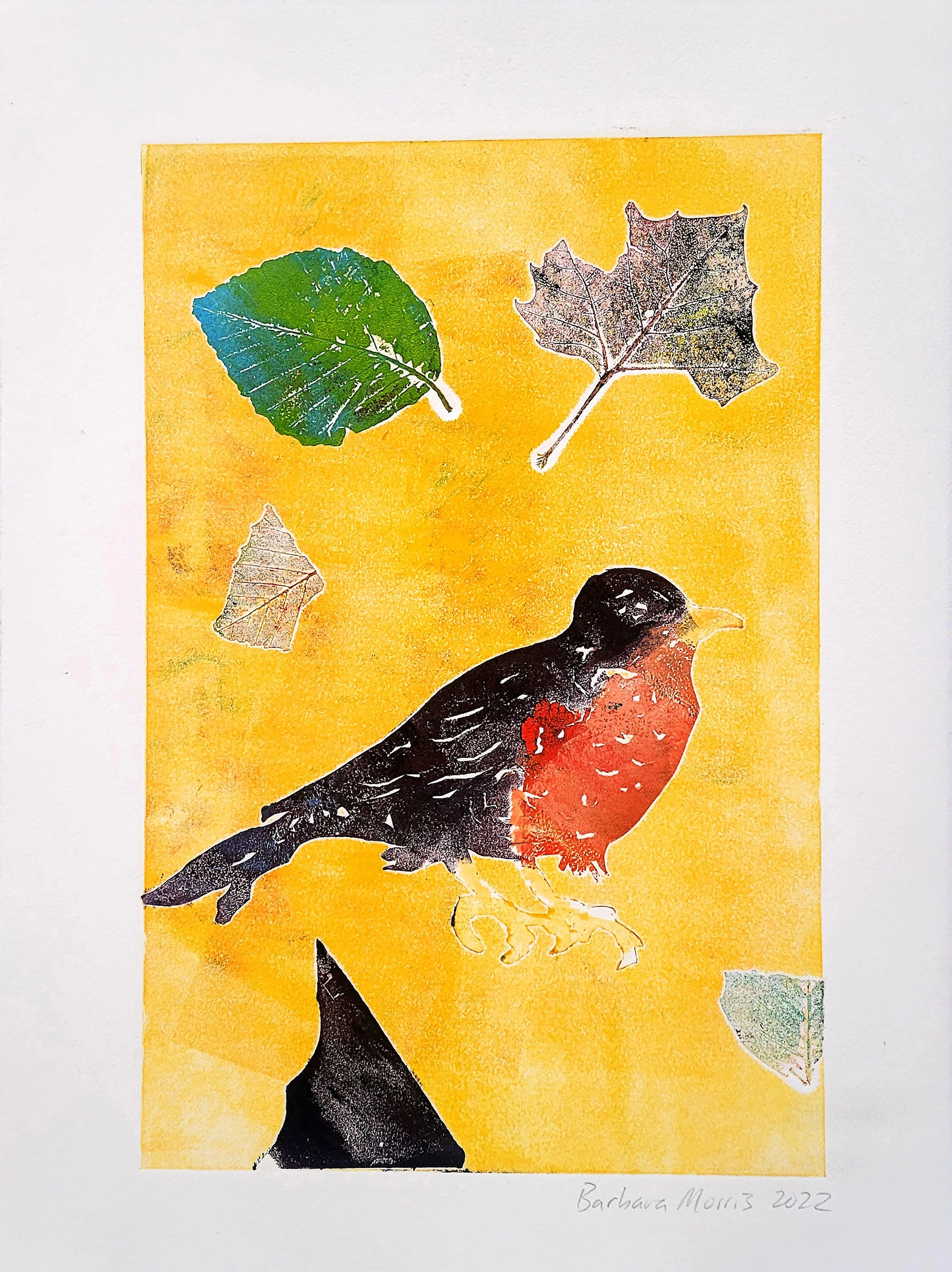 Spring Robins 21.jpg