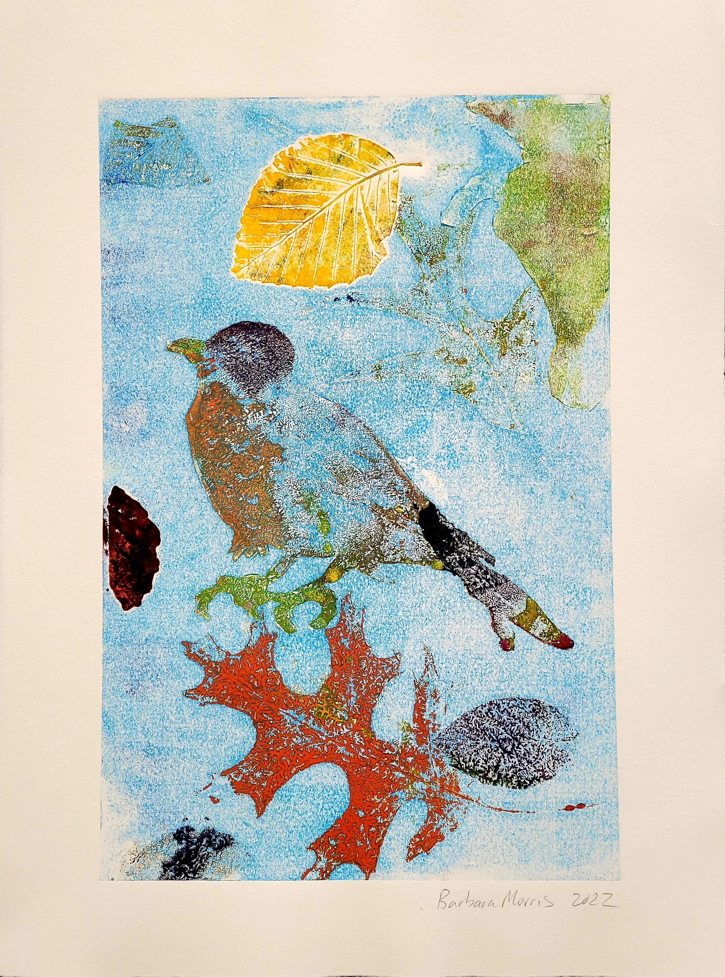 Spring Robins IV.jpg