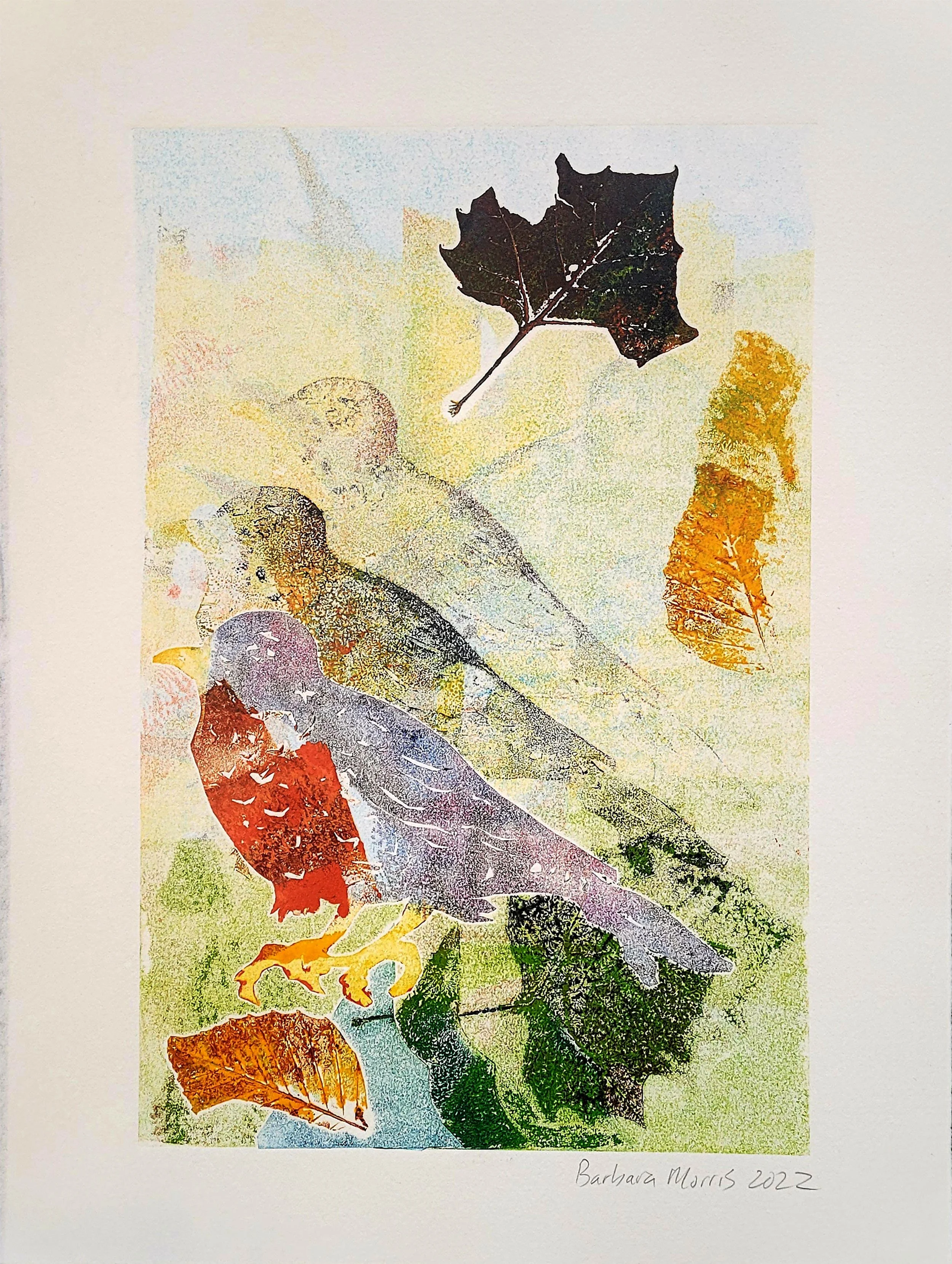 Spring Robins XII.jpg