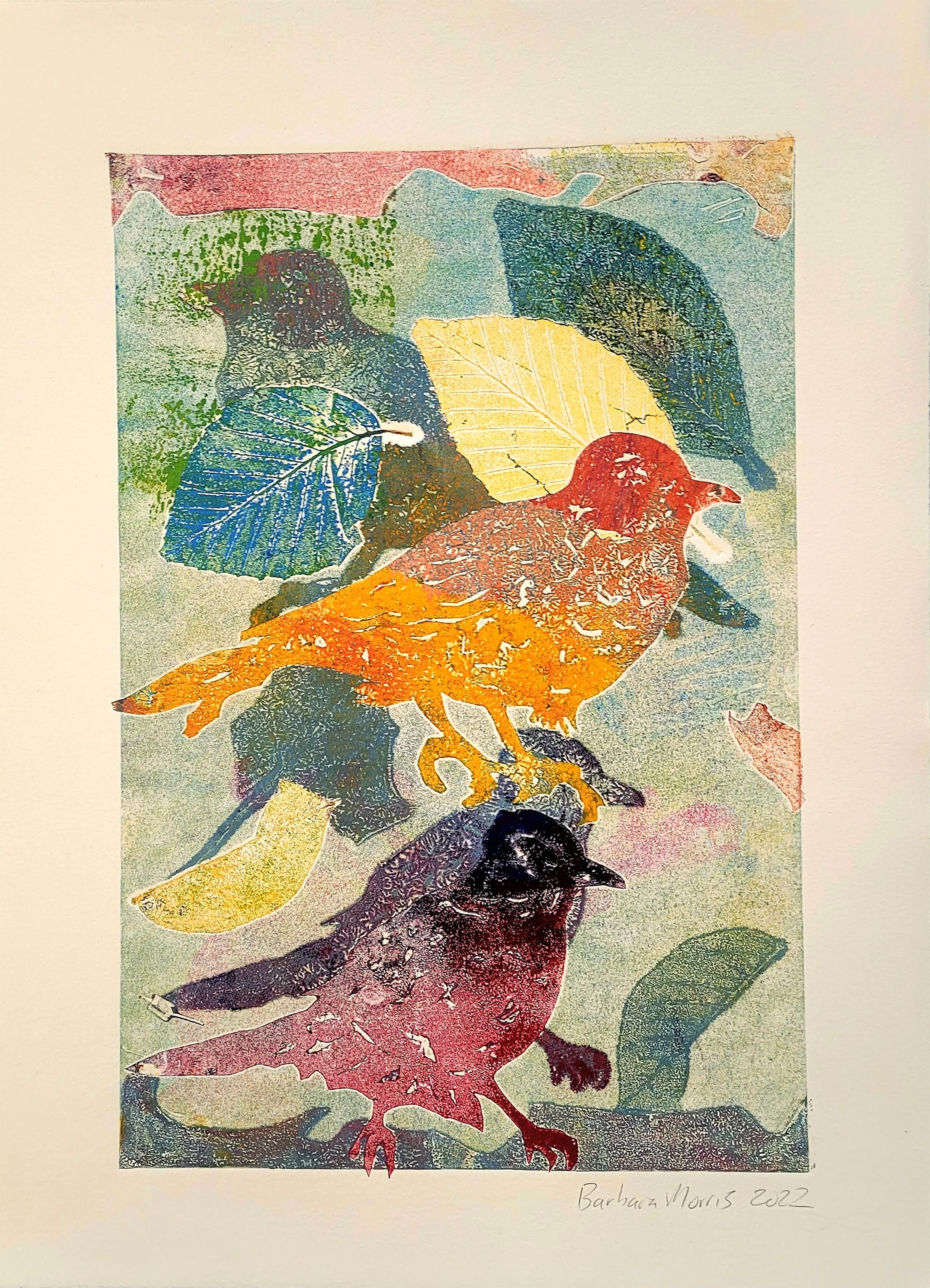 Spring Robins XVI.jpg