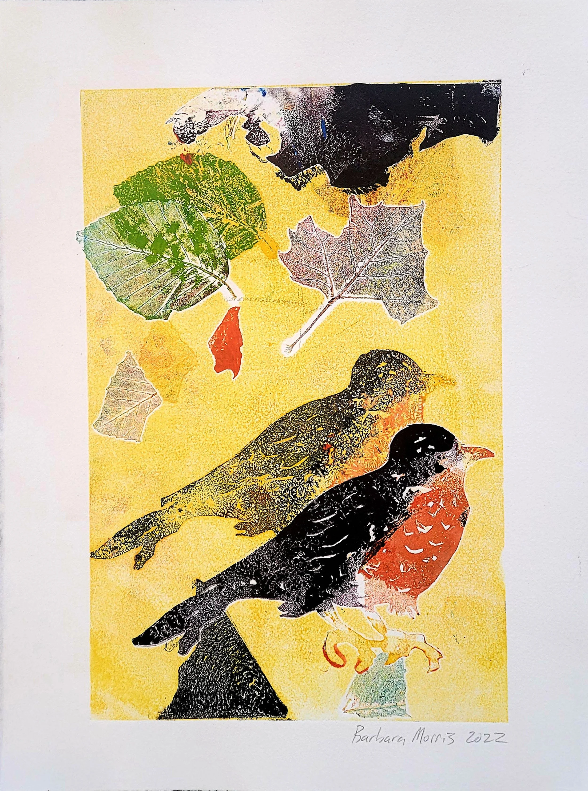 Spring Robins XXII.jpg