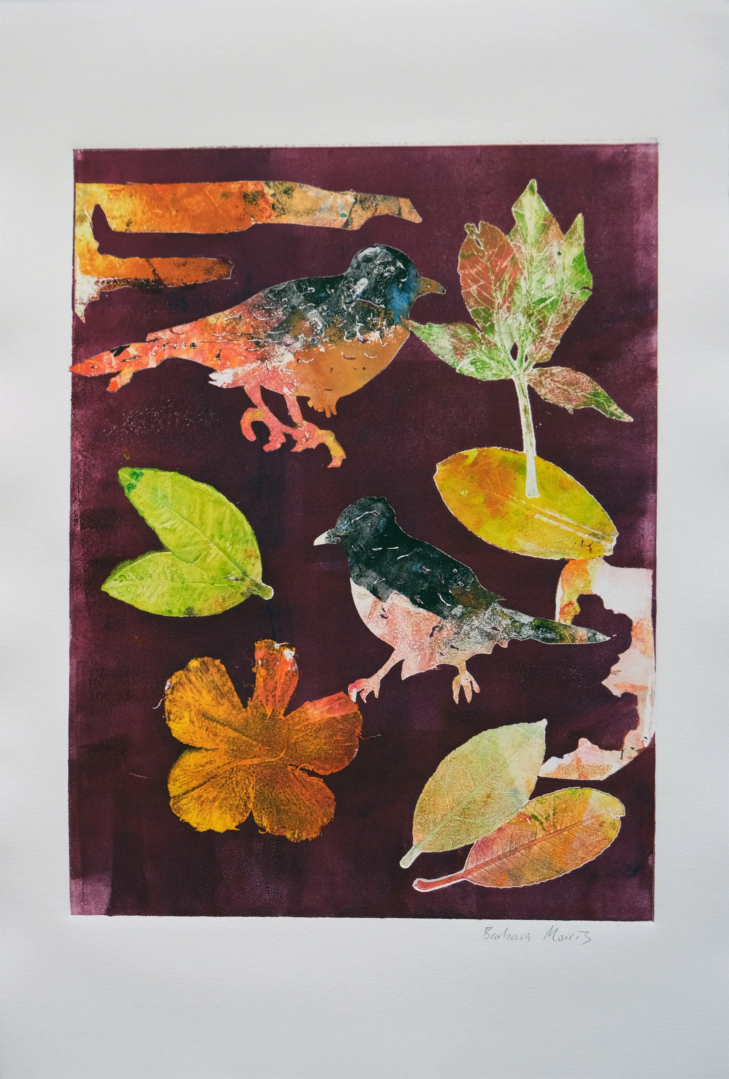 Spring Robins Large XIV.jpg