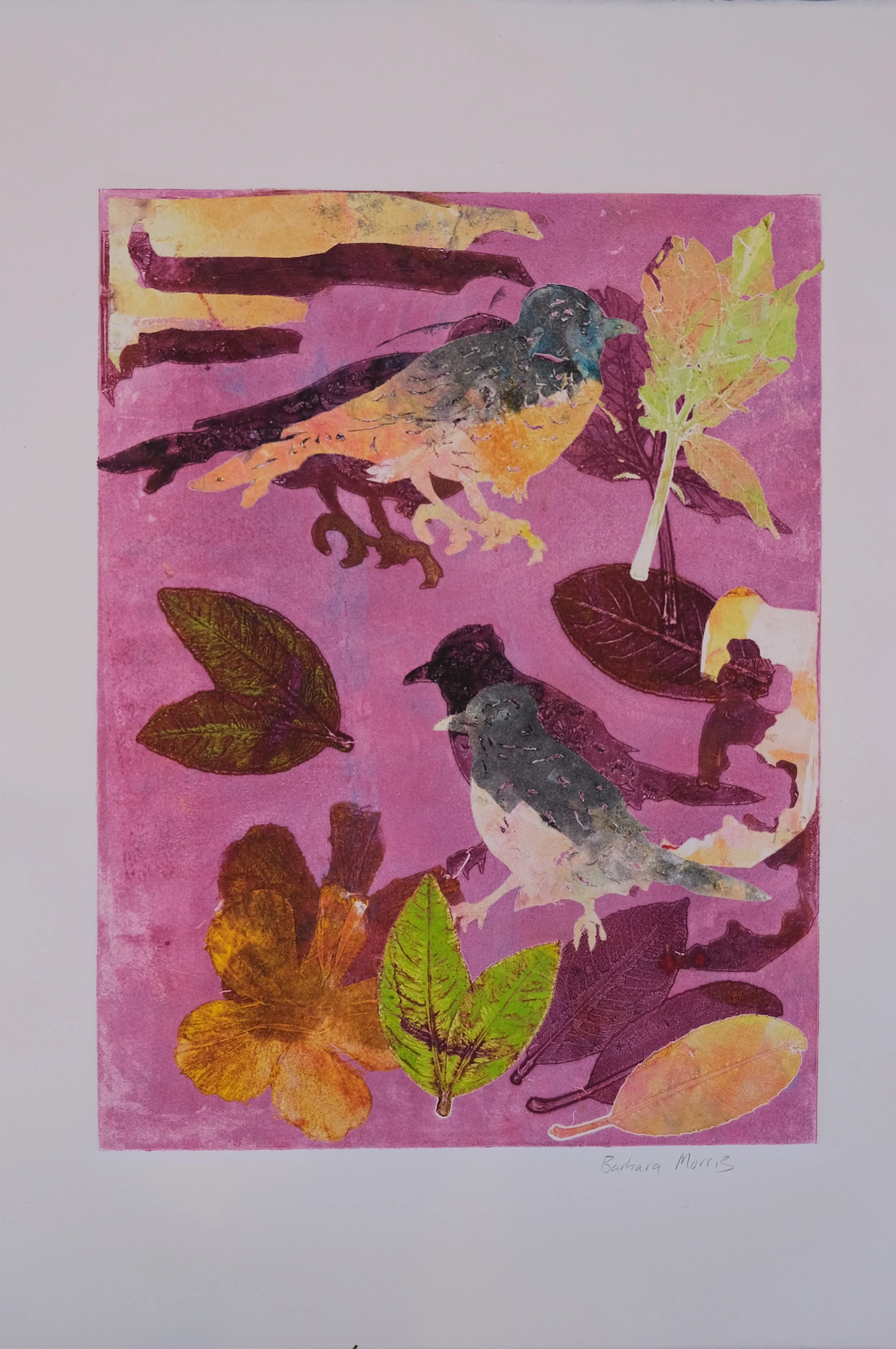 Spring Robins Large XV.jpg