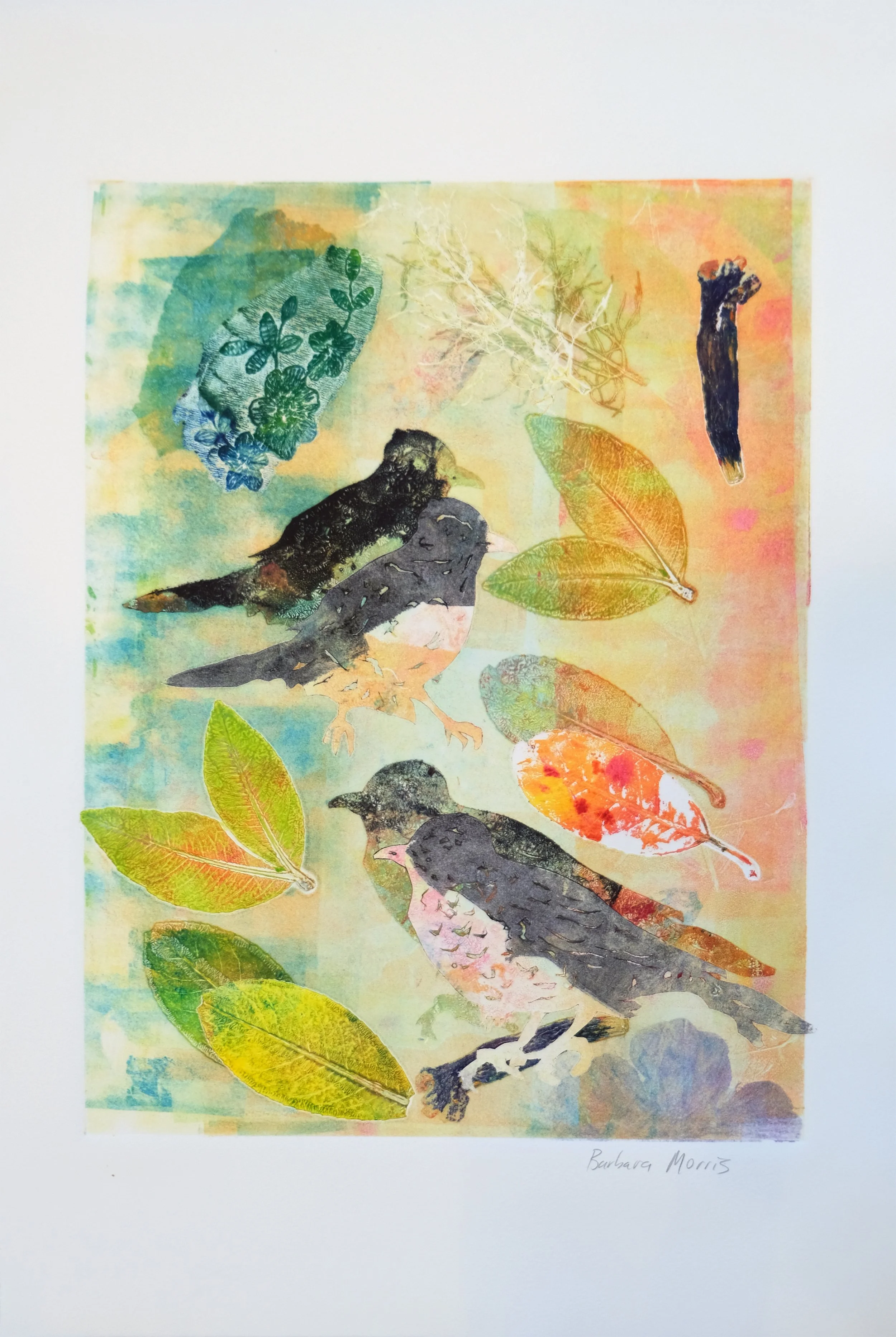 Spring Robins Large XXI.jpg