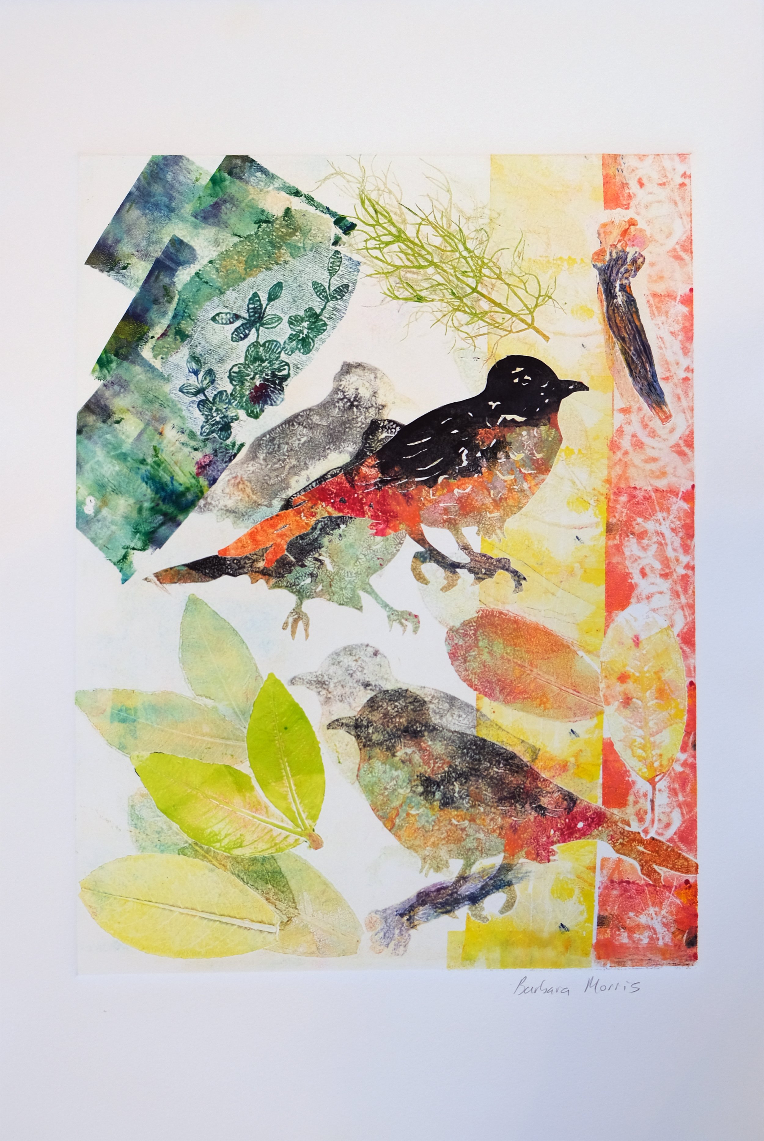 Spring Robins Large XXIII.jpg