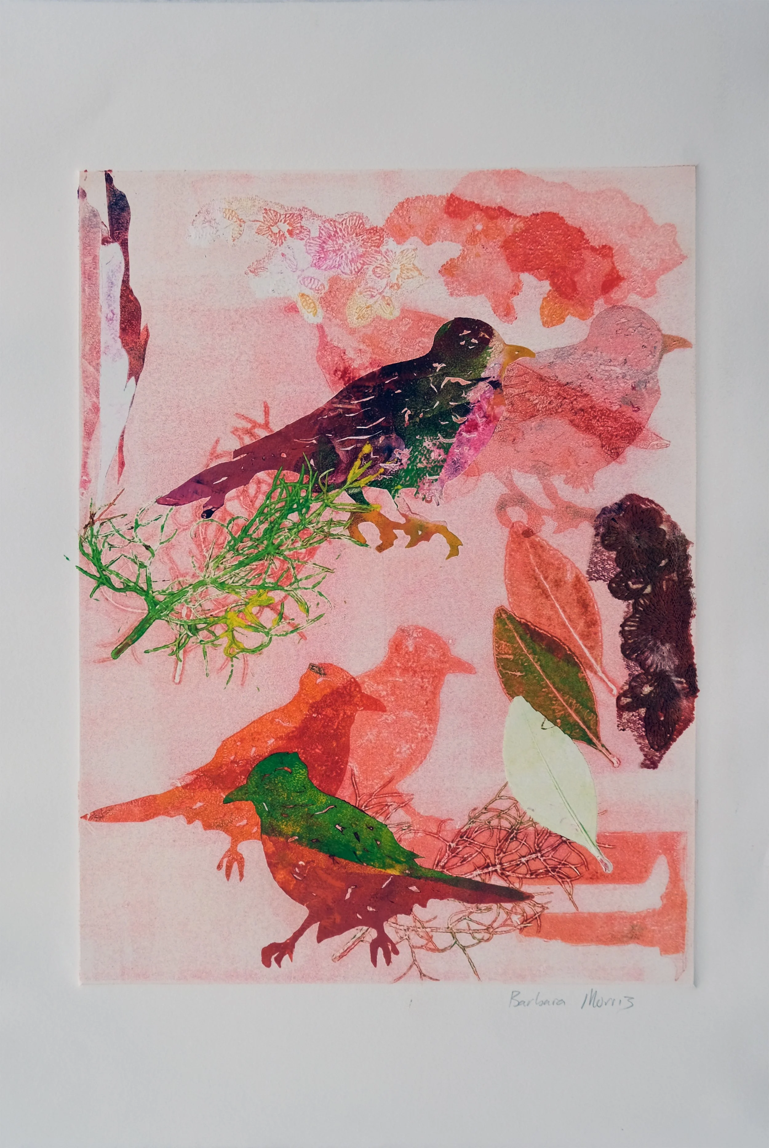 Spring Robins Large XXIX.jpg