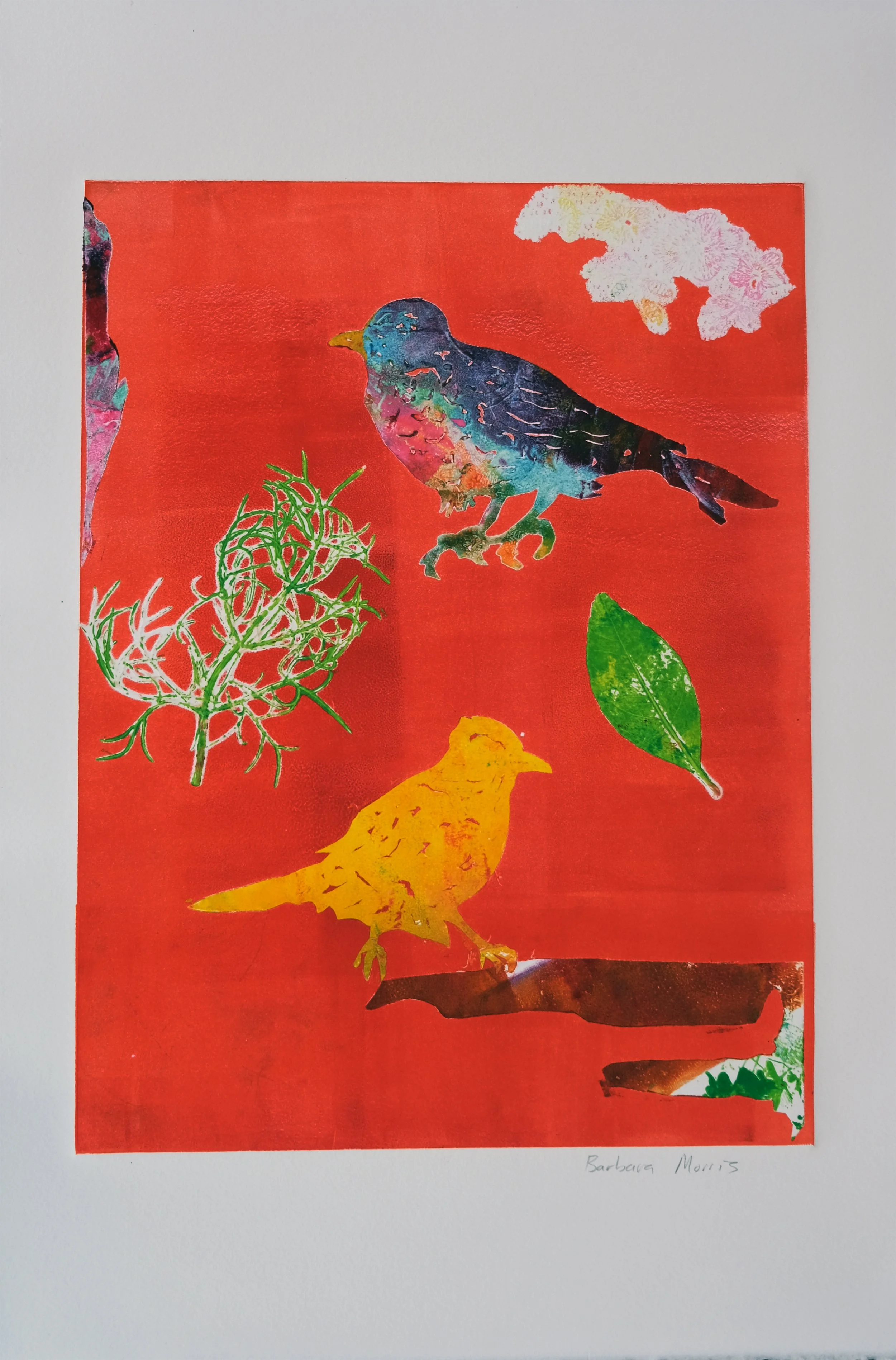 Spring Robins Large XXVII.jpg