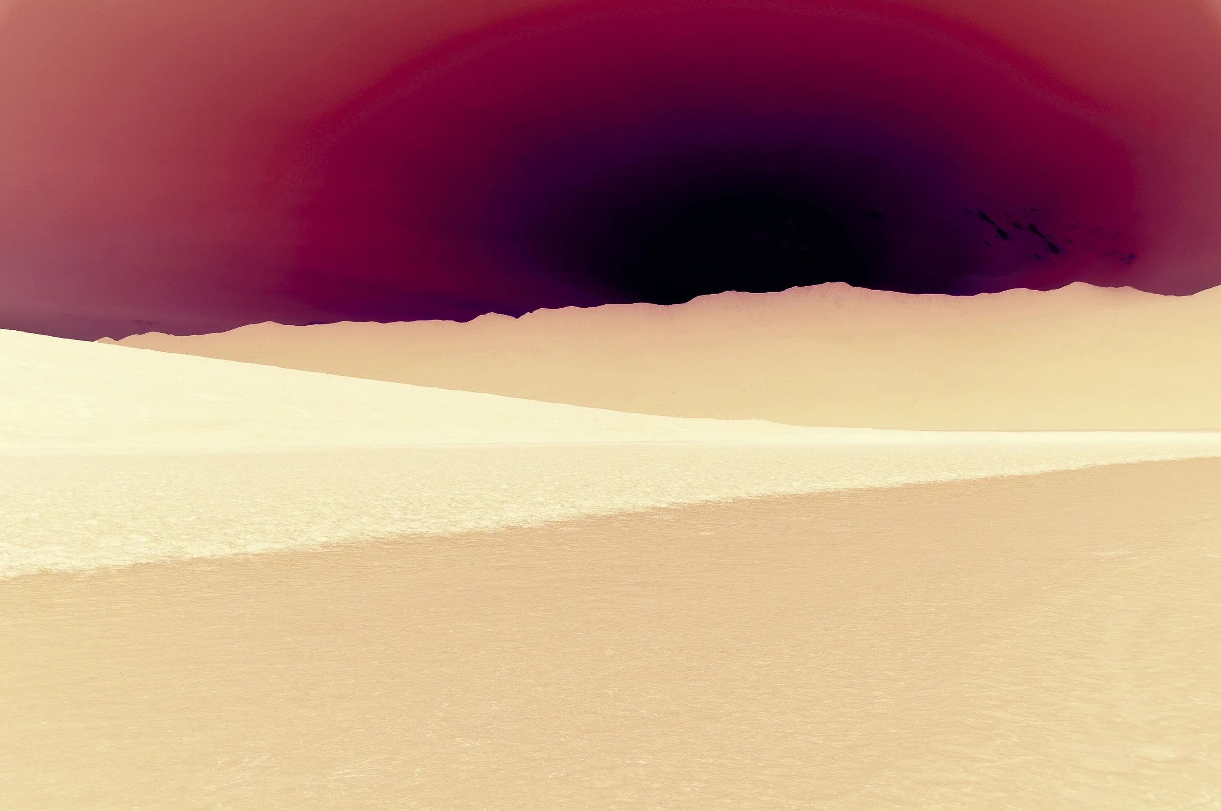 Plum Press- master.jpg