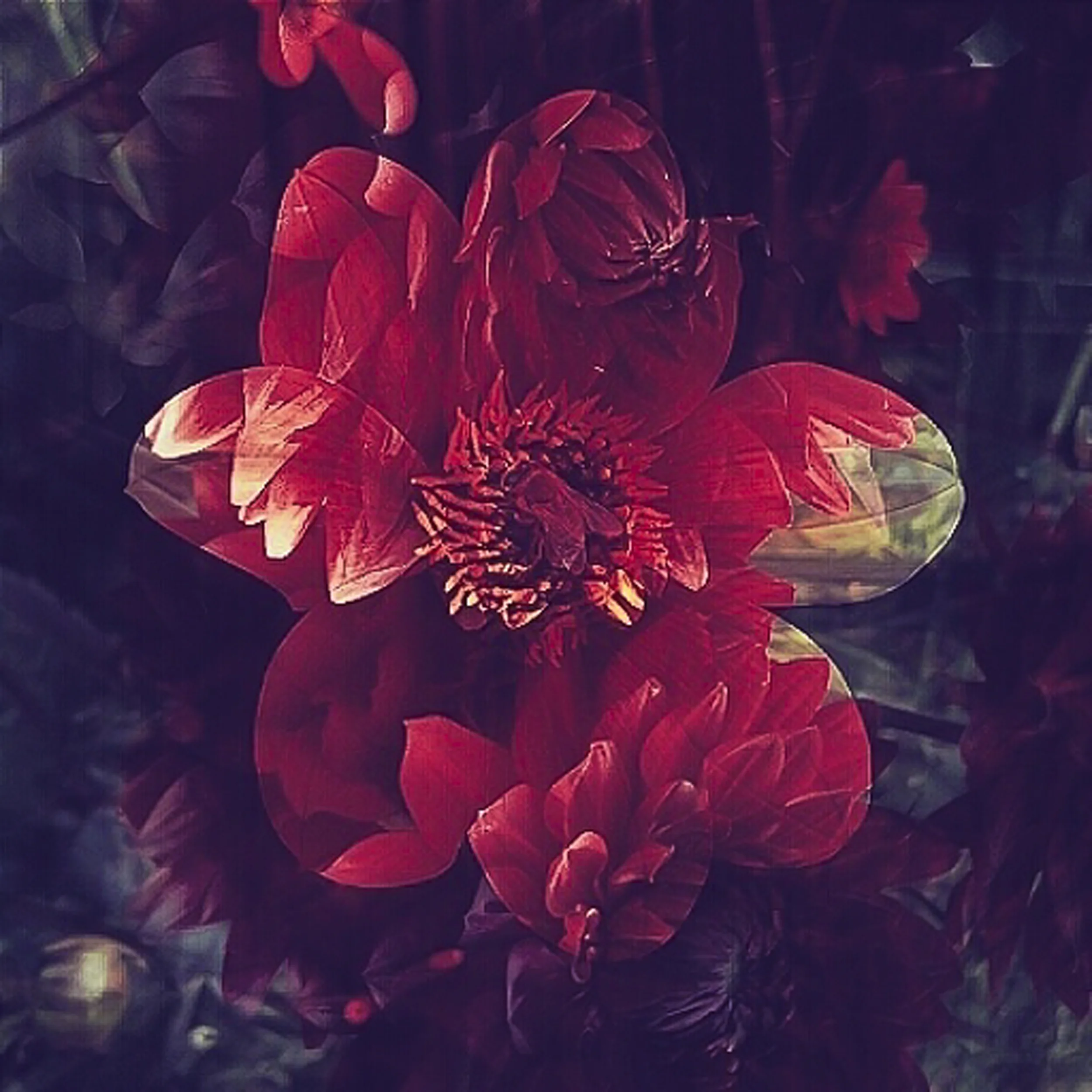 Bee & Blood Red Flowers Dark - Master.jpg