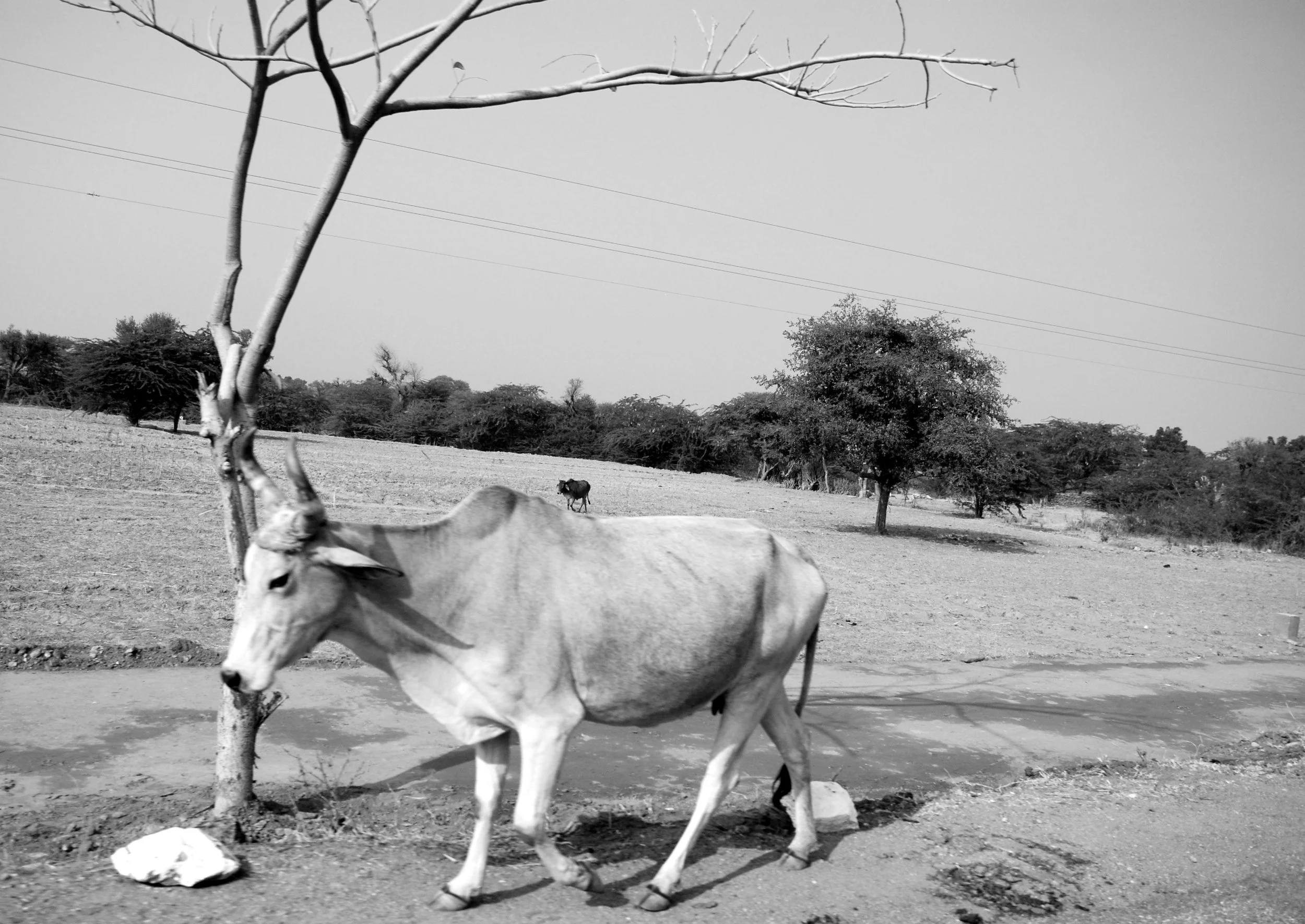DSC_0330 edit.jpg