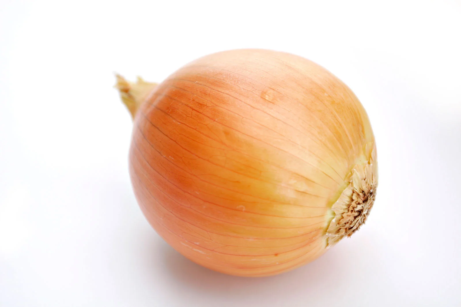 Onion_white_background.jpg