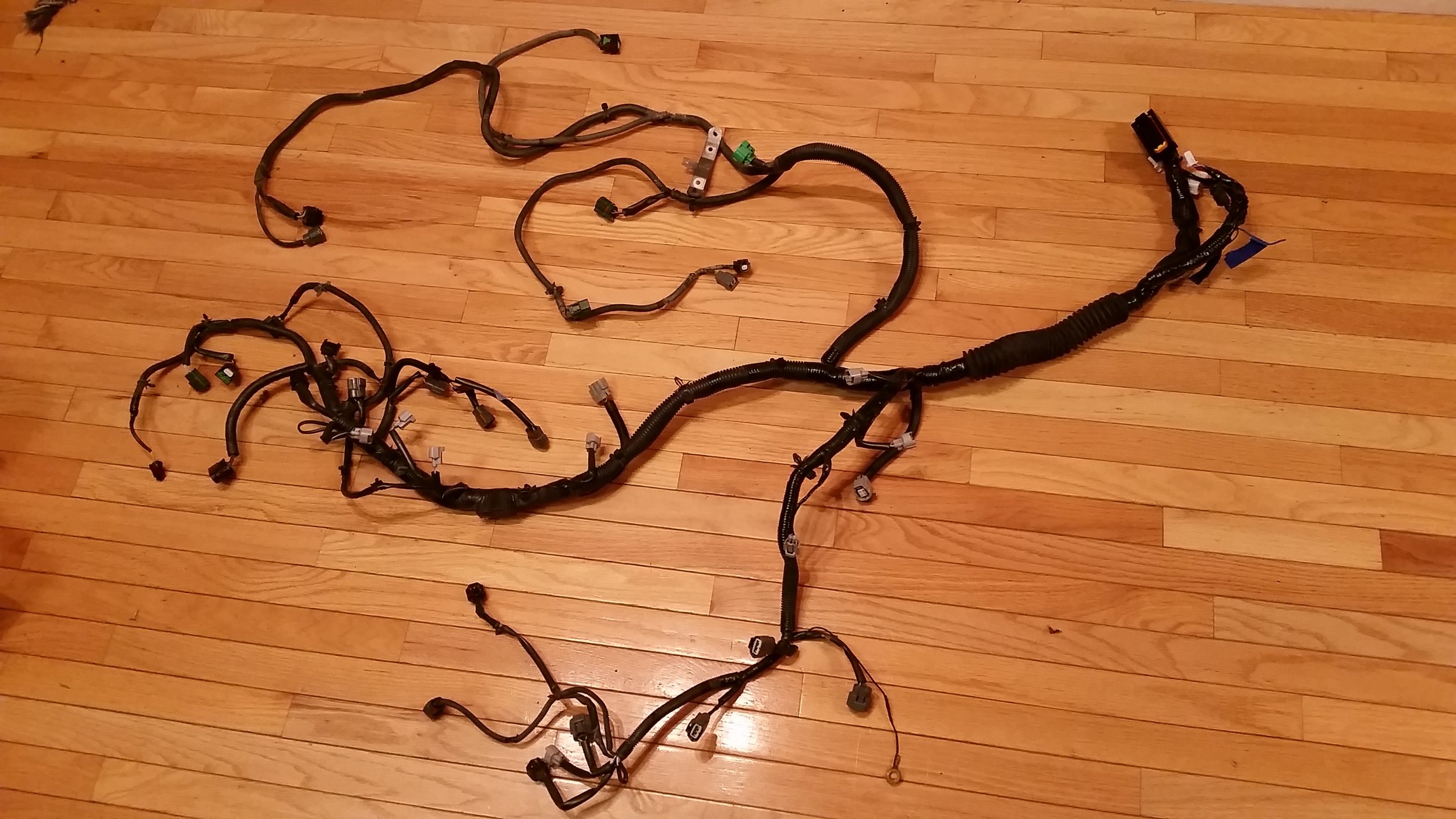 Re pinned VK56 Harness $185 for repin.jpg
