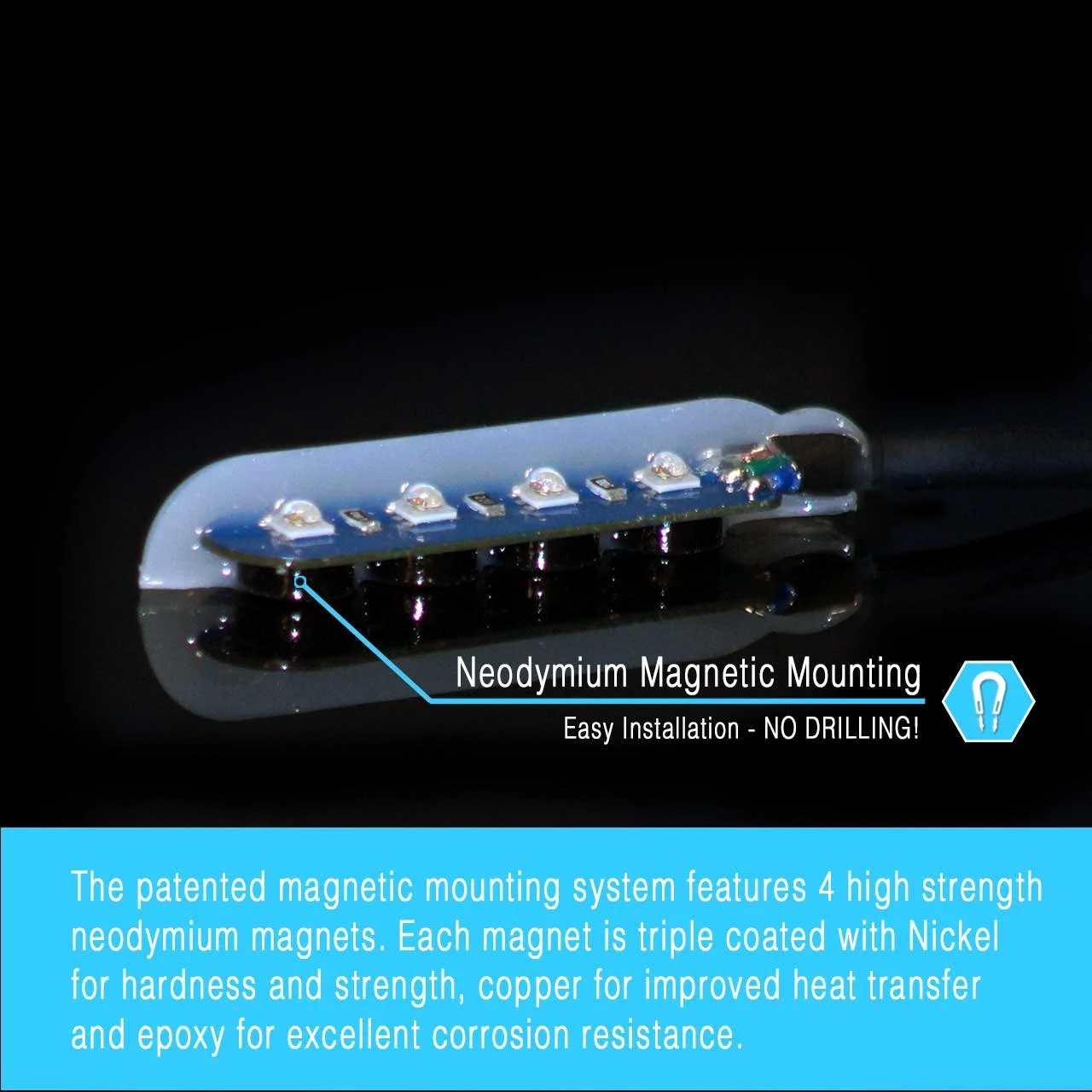 Magnet_3a7426a3-04b4-41dd-9c6f-809ea52c6911_2048x.jpg