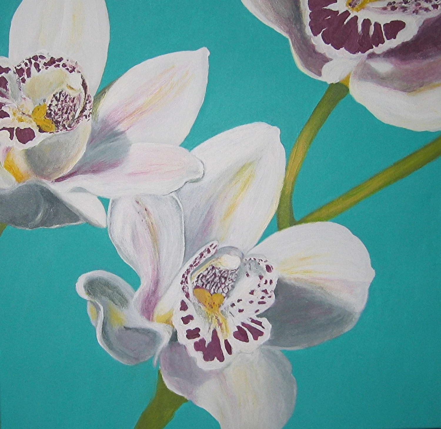 Orchids