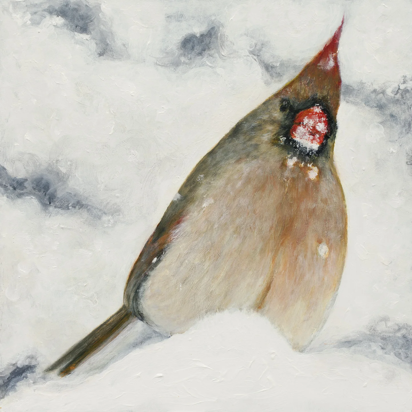 Female Cardinal in Snow, or Wild Fig!