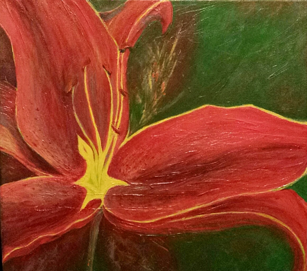 Stargazer Lily