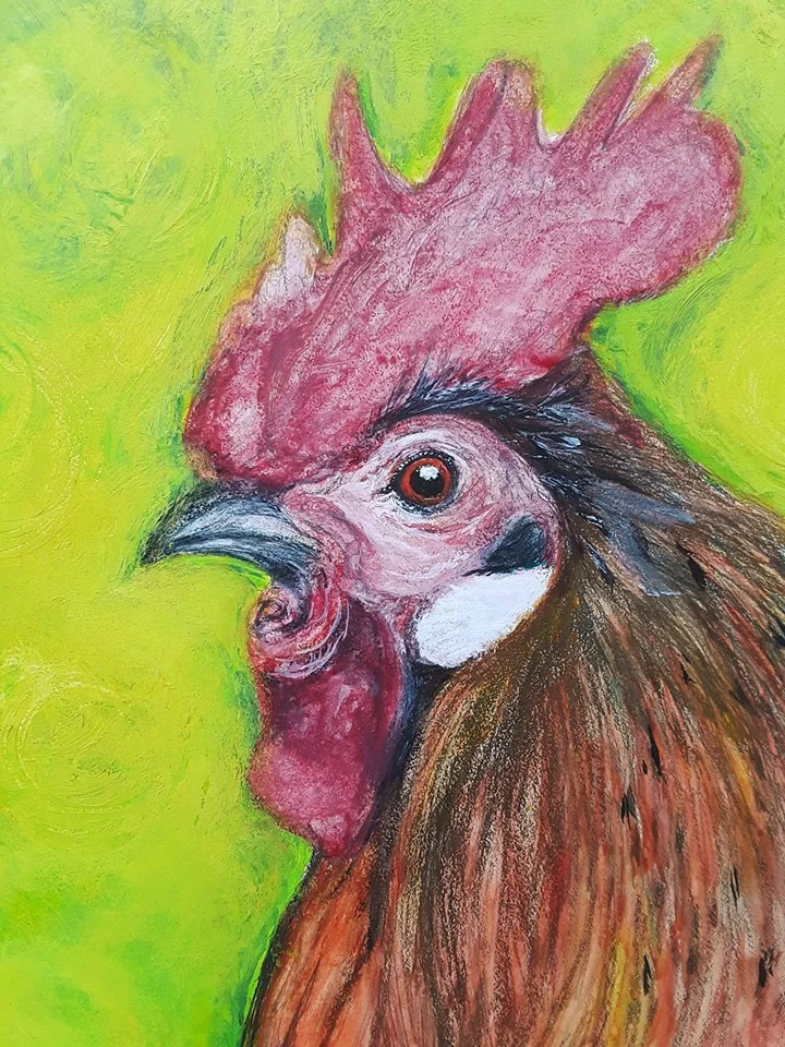 Rooster