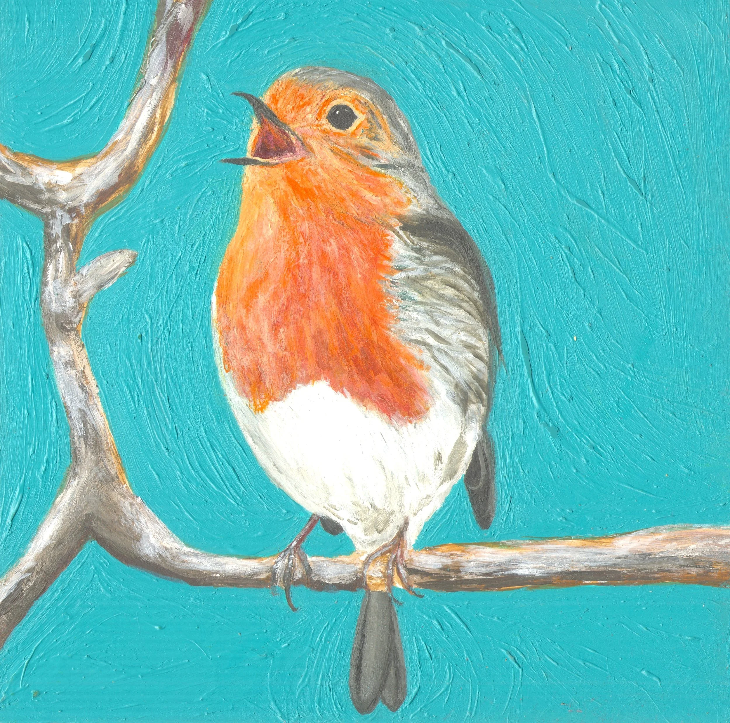 European Red Robin II