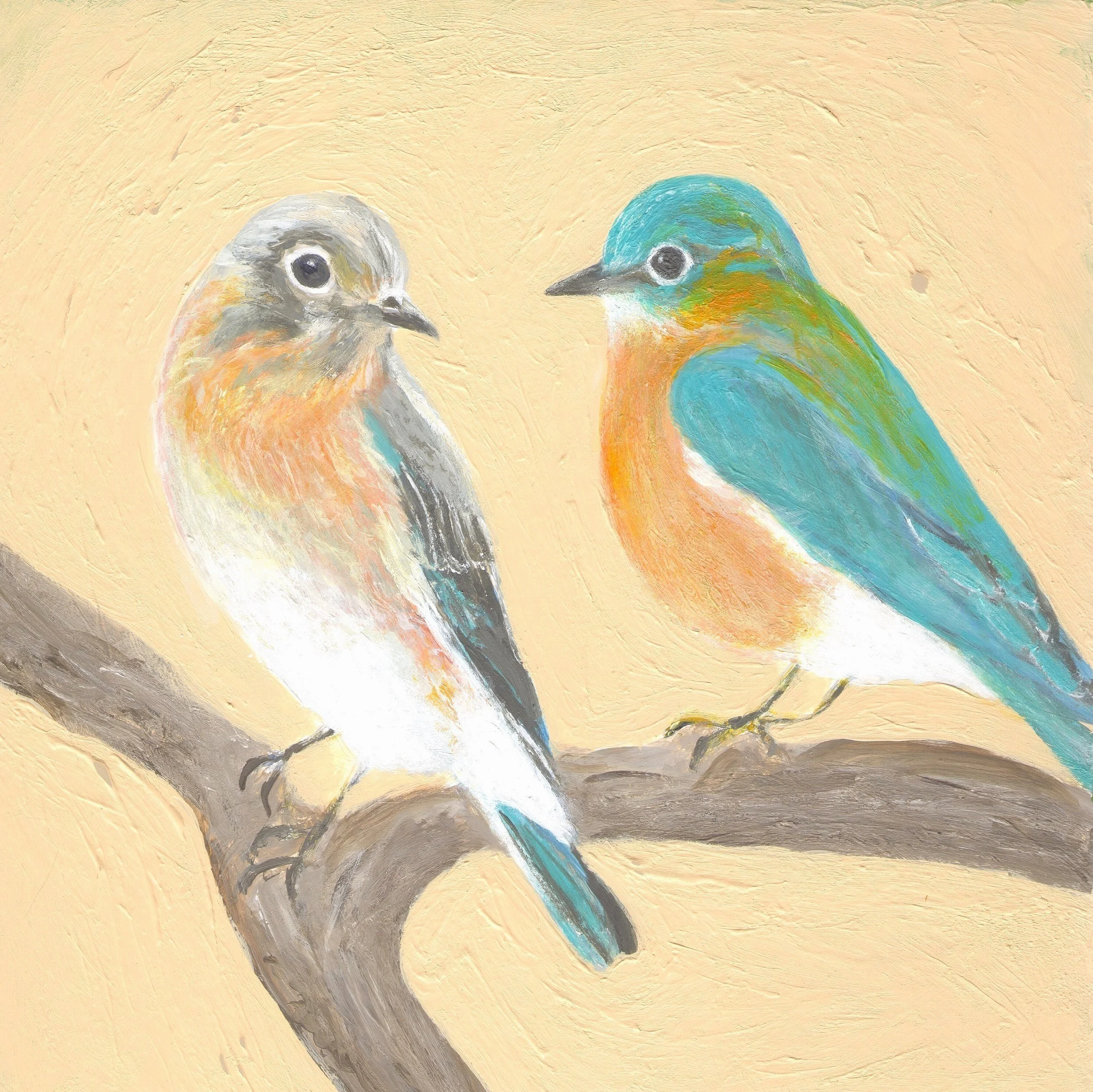 Blue Birds