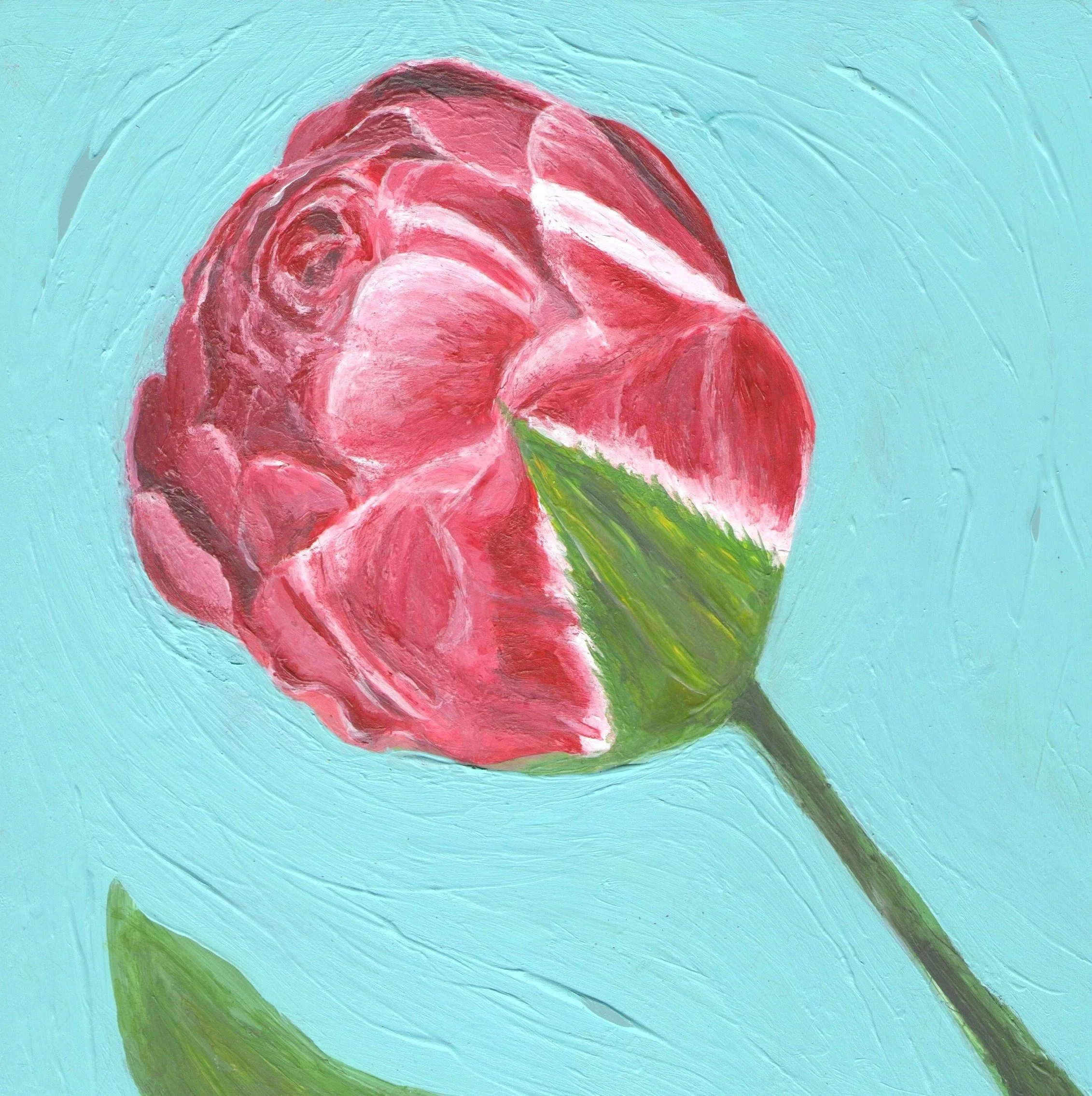 Tulip