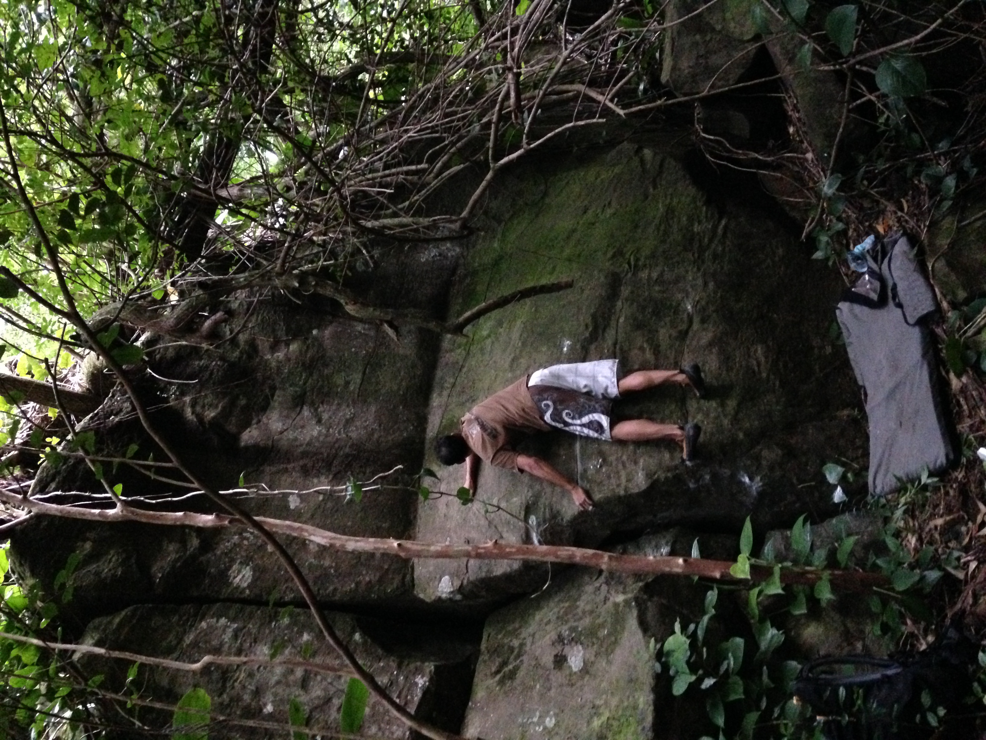palolo-slab.JPG