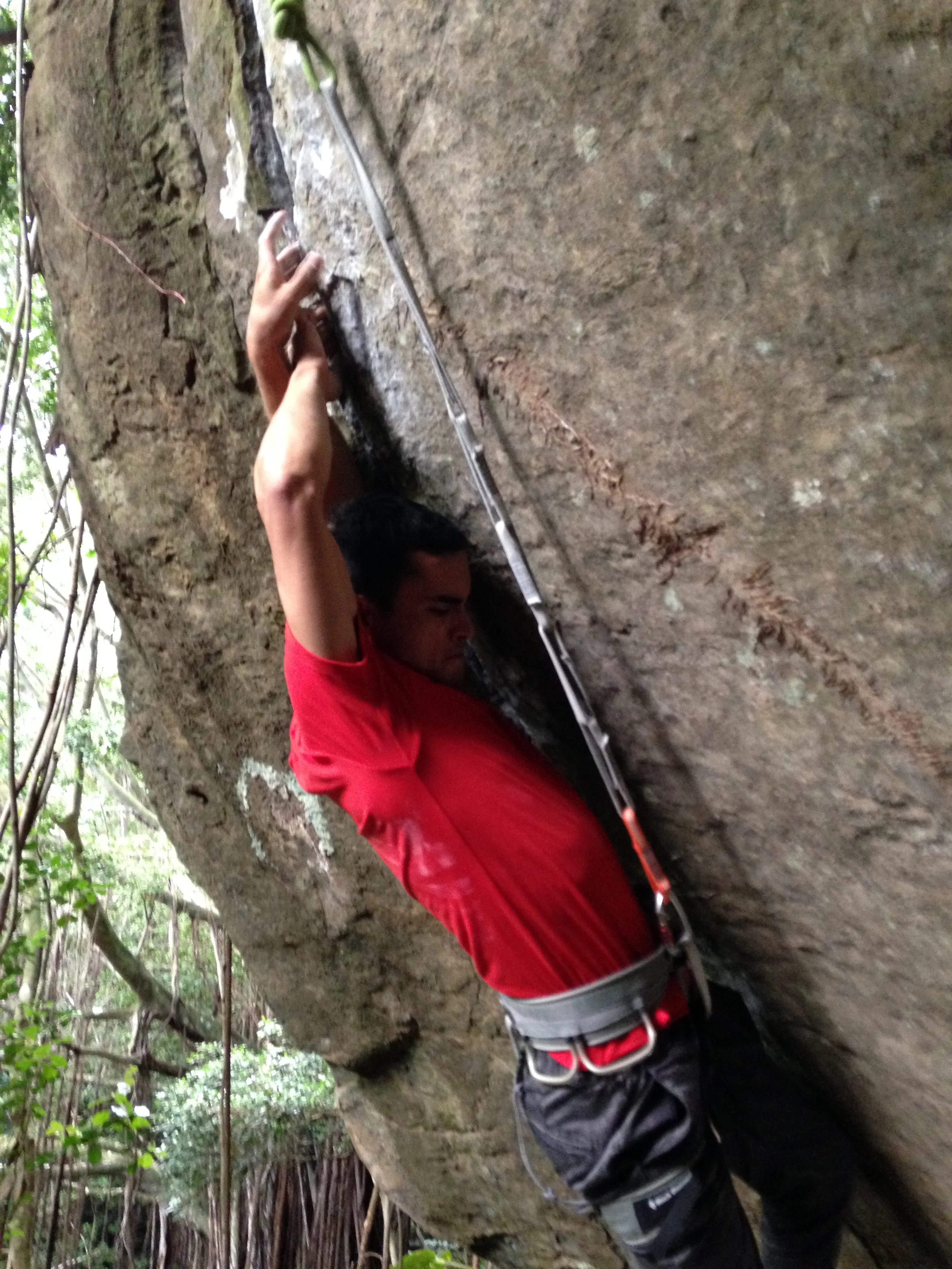 palolo-valley-crack-climb.JPG