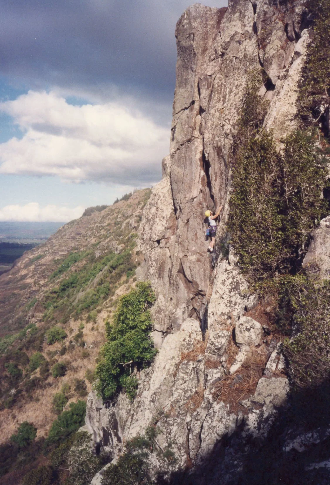"My first partner in crime to start experimenting on different climbing spots all over the Island was Rex Miyashiro. I have a lot of shots from our early experiments. By the time I did my first bushwhack up to check out the Mokuleia Wall in 1990 we had tried questionable rock all over the Island. I started developing the Mokuleia wall with Bret Hardin, Pat Thompson, and Tony Spivey. They have all since left the island, but once we developed the climbs on the Mokuleia wall the climbing group grew and it was like a big climbing family affair every weekend. We started Hawaii climbers group trips to the mainland and climbers that had their first taste of climbing at Makapuu, Waimea, Mokuleia ... and other spots were getting on big multi-pitch climbs in the Red Rocks of Nevada and Yosemite. It is fun remembering those days. It was (and still is) a real passion and a lot of fun. I was very happy to hear the Mokuleia Wall was reopened and is being enjoyed by climbers once again." 