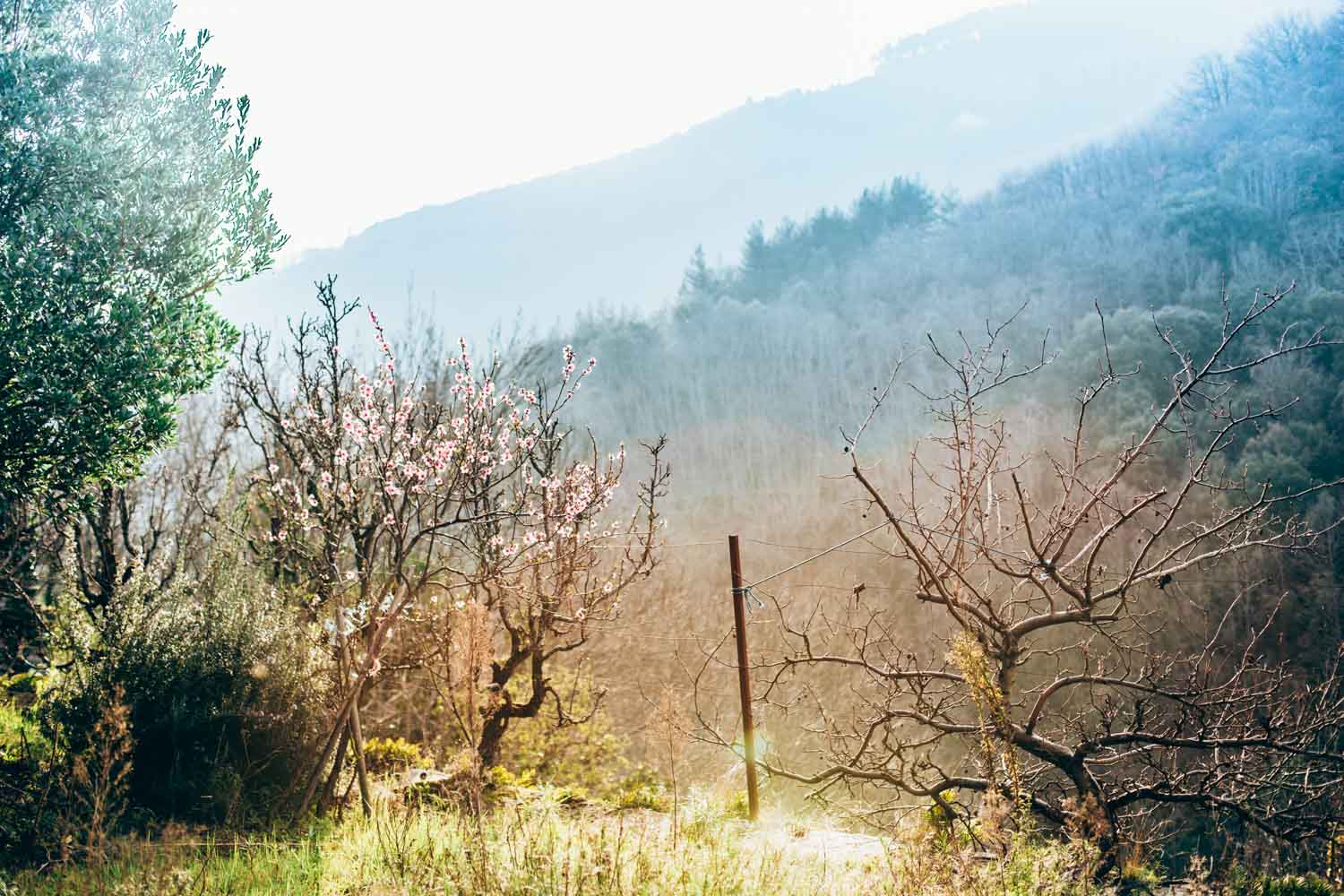 labastide, france